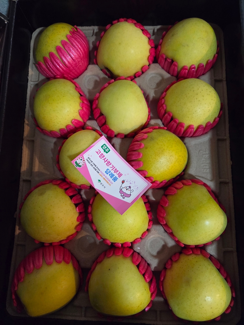 포토후기 이미지