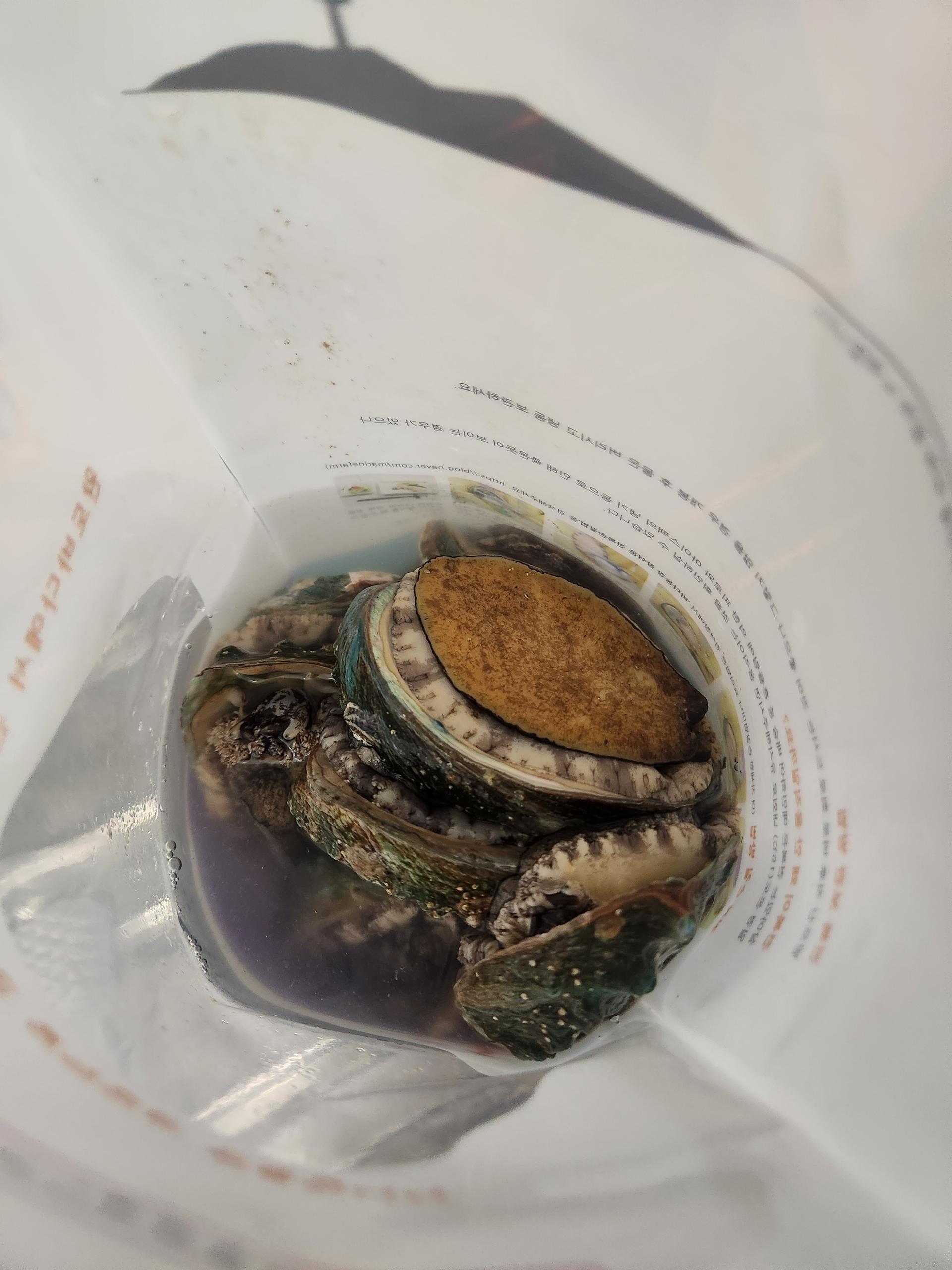 완도 전복 실속 선물세트 (1kg)