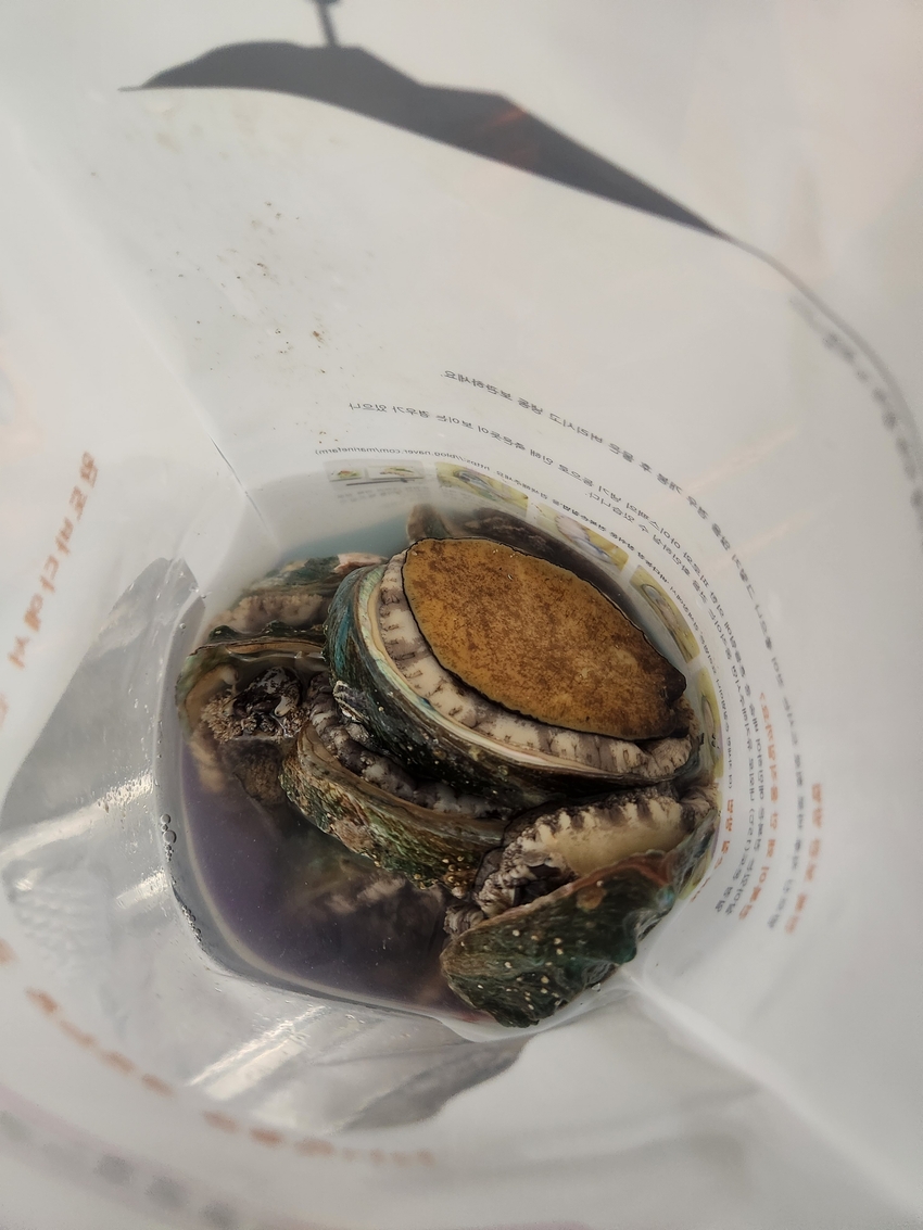 포토후기 이미지