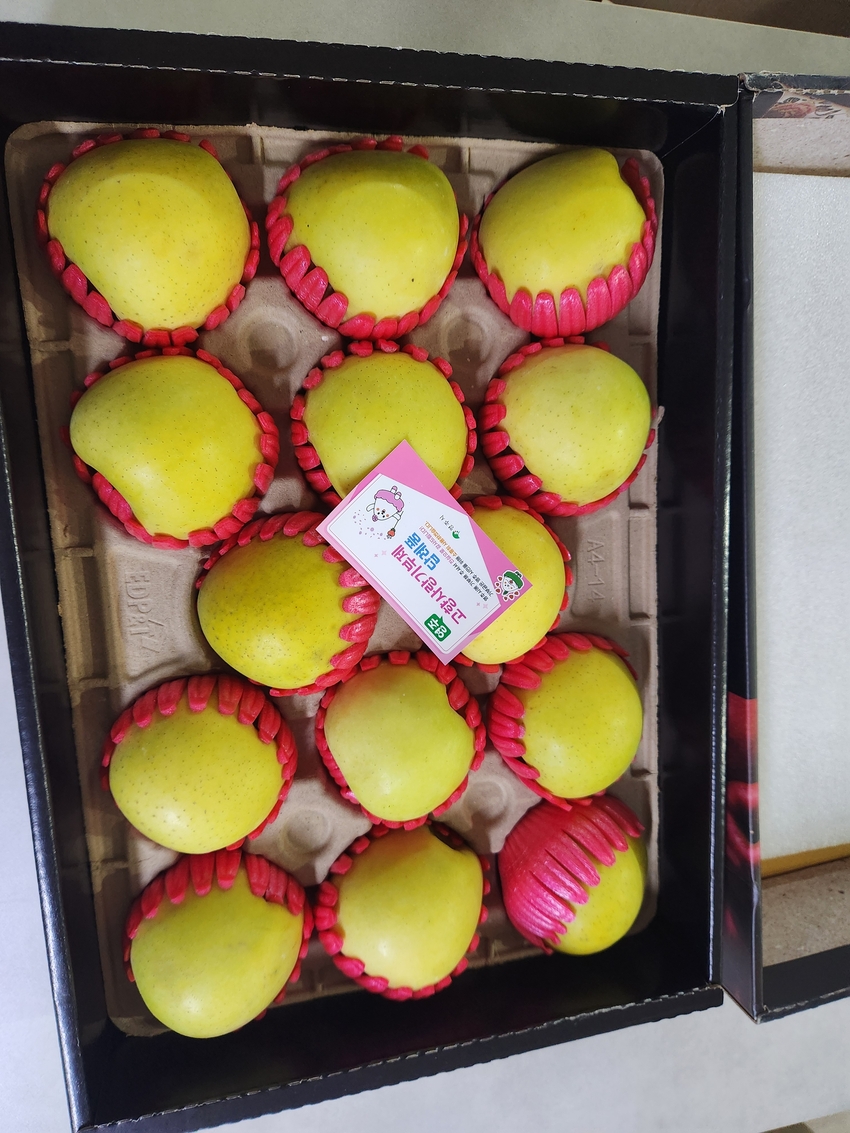 포토후기 이미지