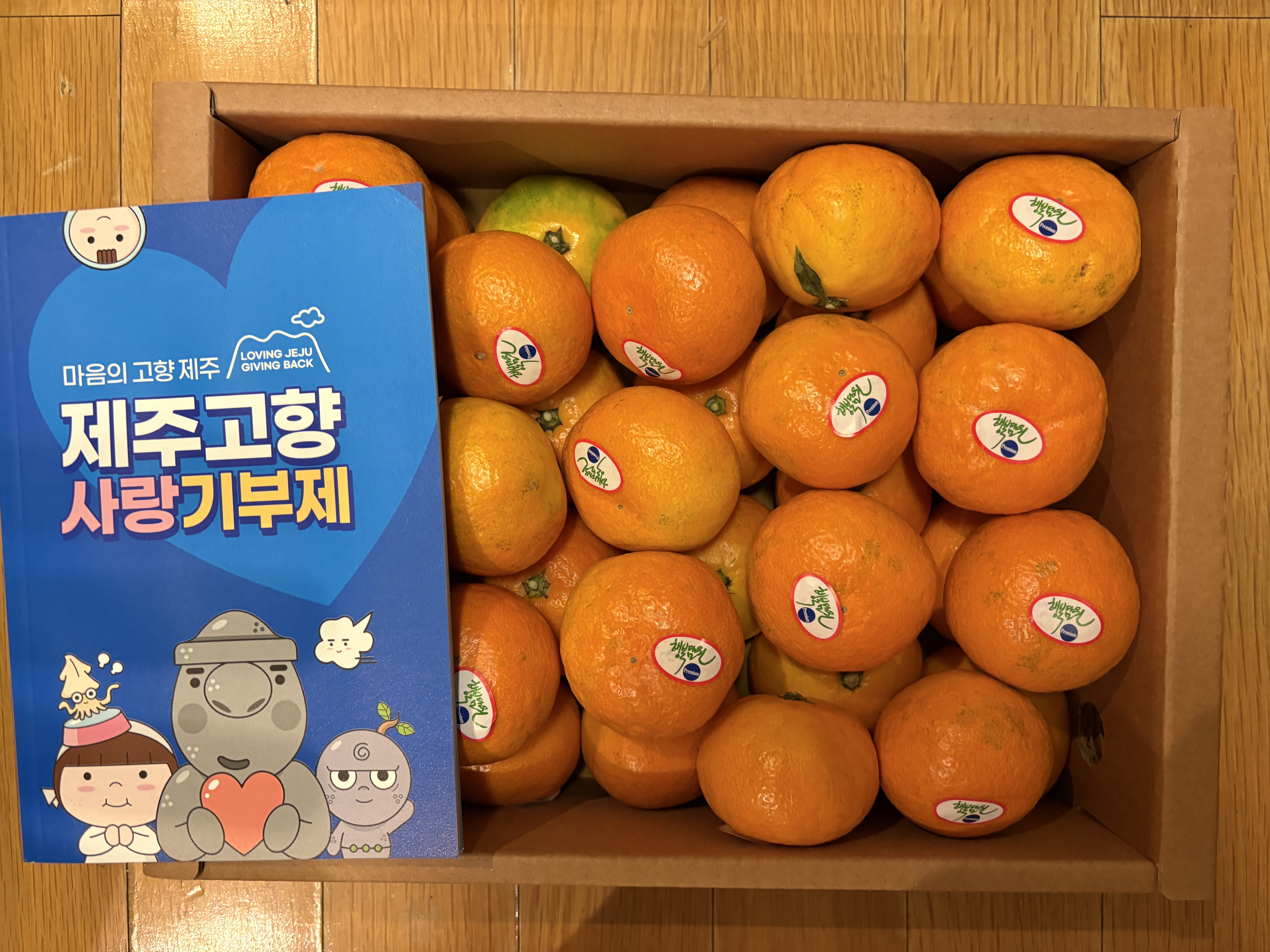 효돈 농협 프리미엄 감귤 (3kg/5kg)-1