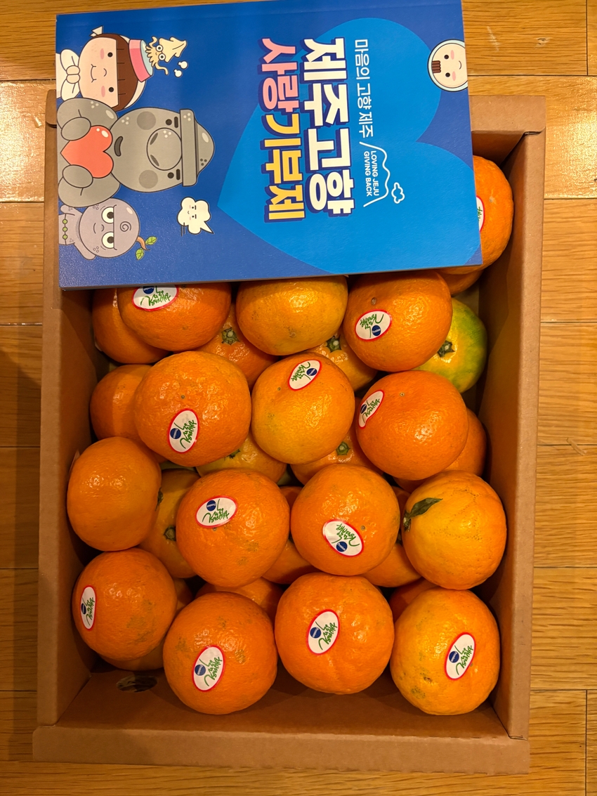 포토후기 이미지