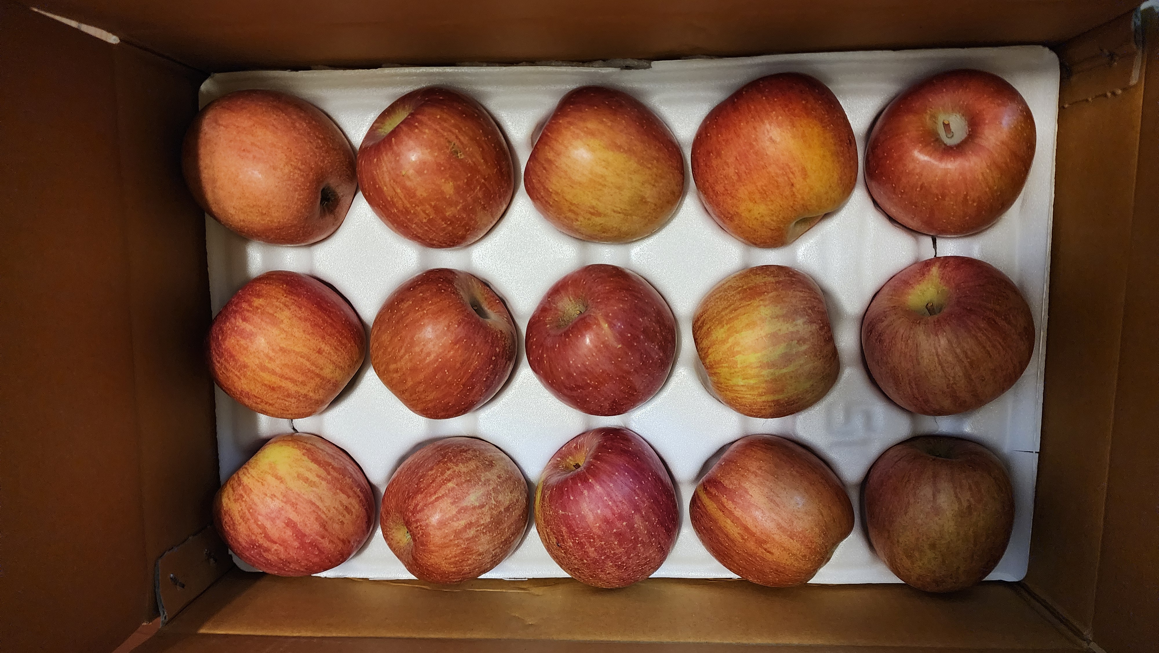 풍기농협 영주사과 3.5kg-1