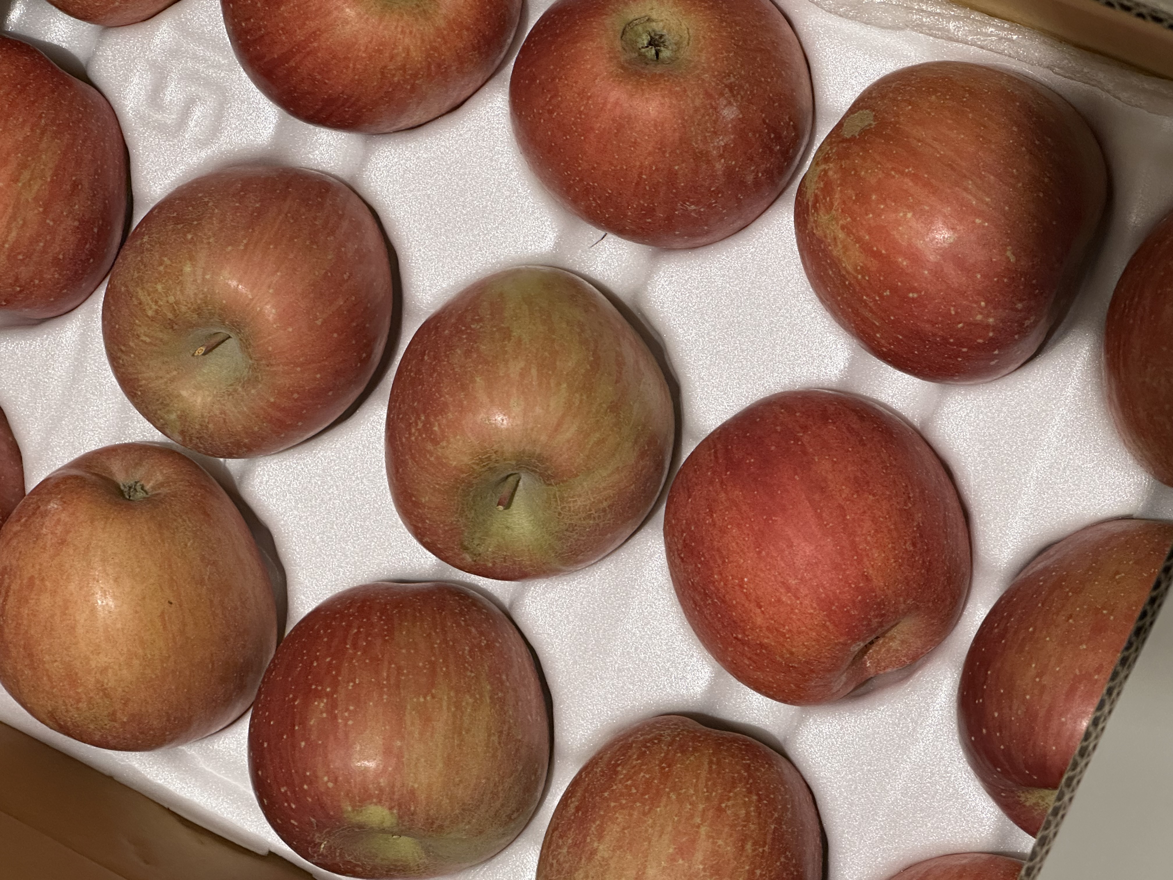 풍기농협 영주사과 3.5kg-2