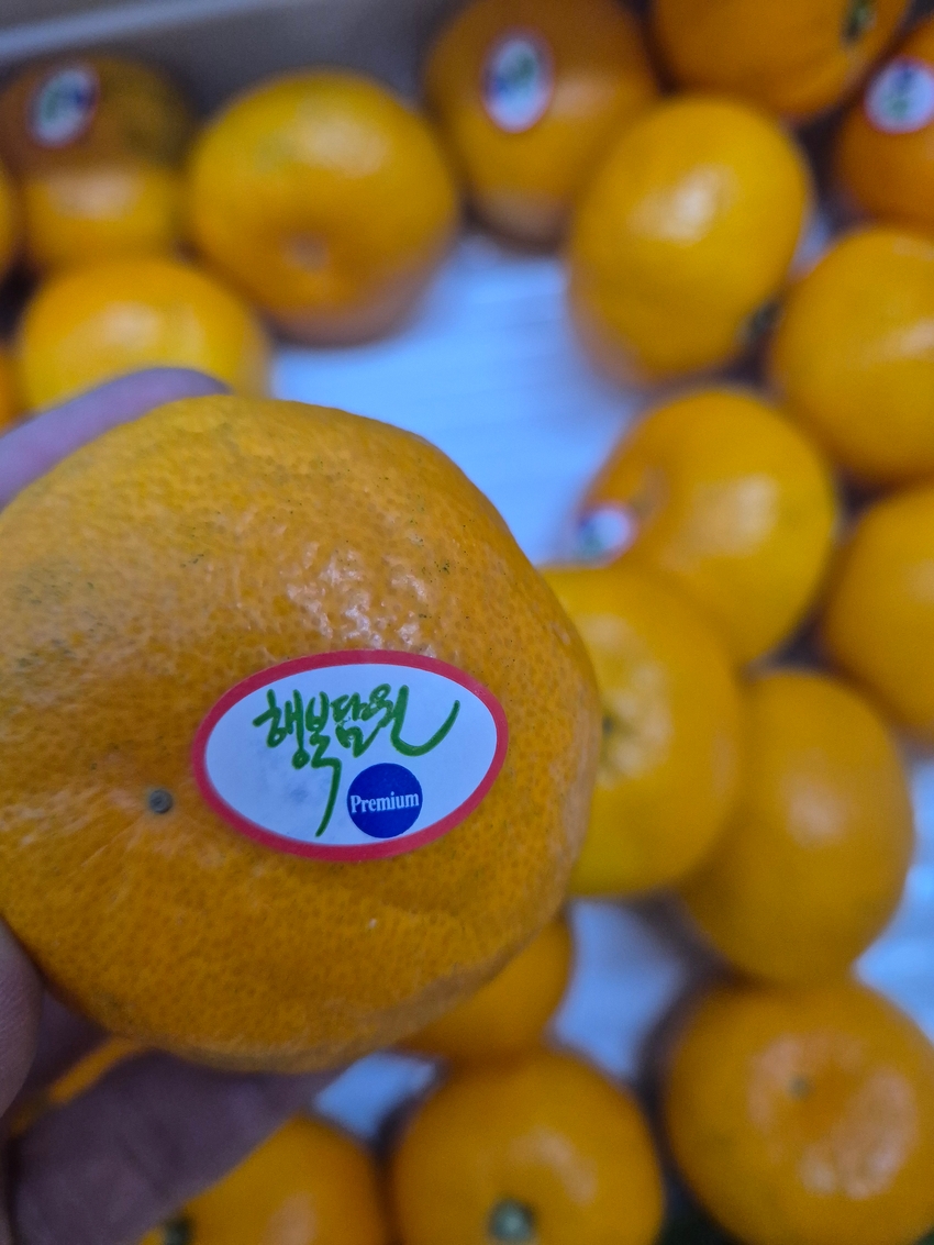 포토후기 이미지