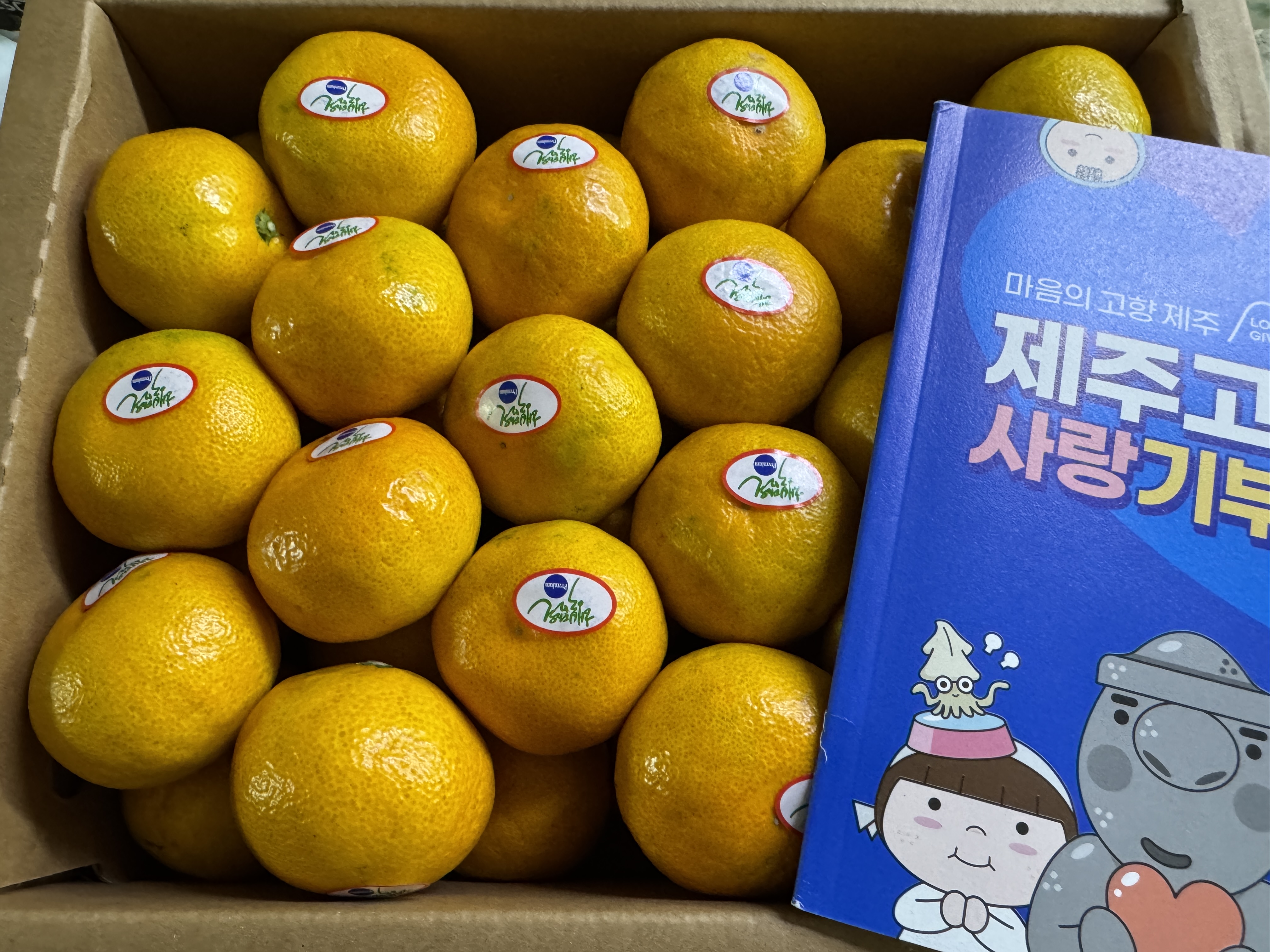 효돈 농협 프리미엄 감귤 (3kg/5kg)-1