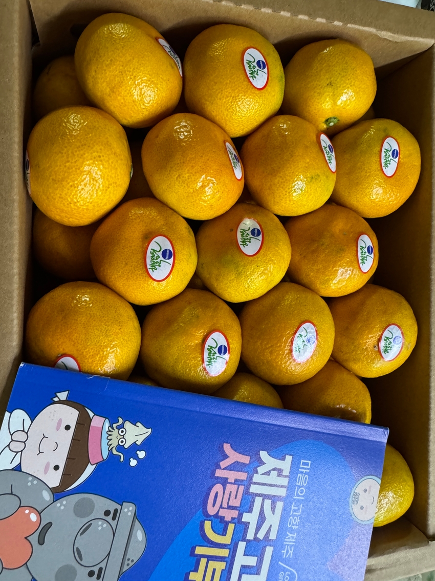 포토후기 이미지