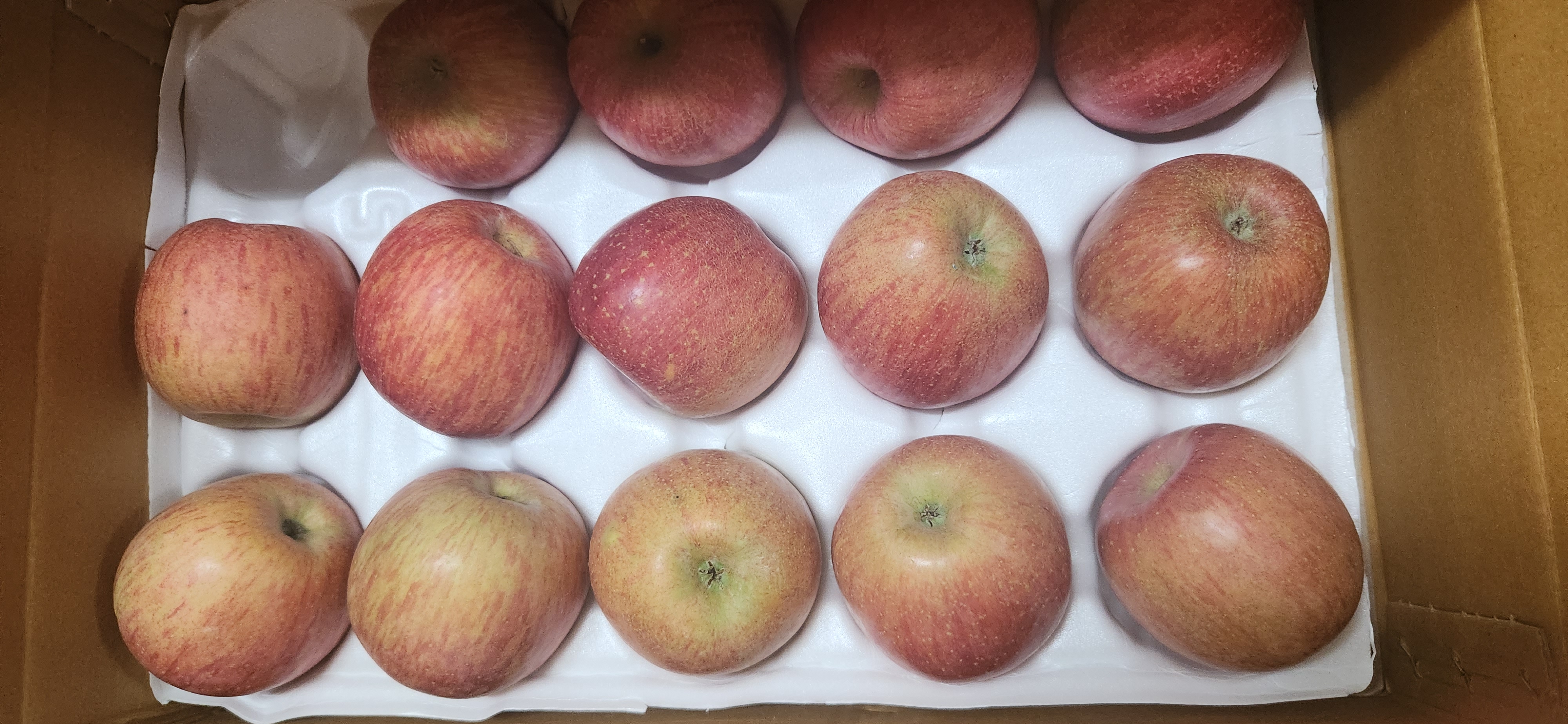 풍기농협 영주사과 3.5kg-1