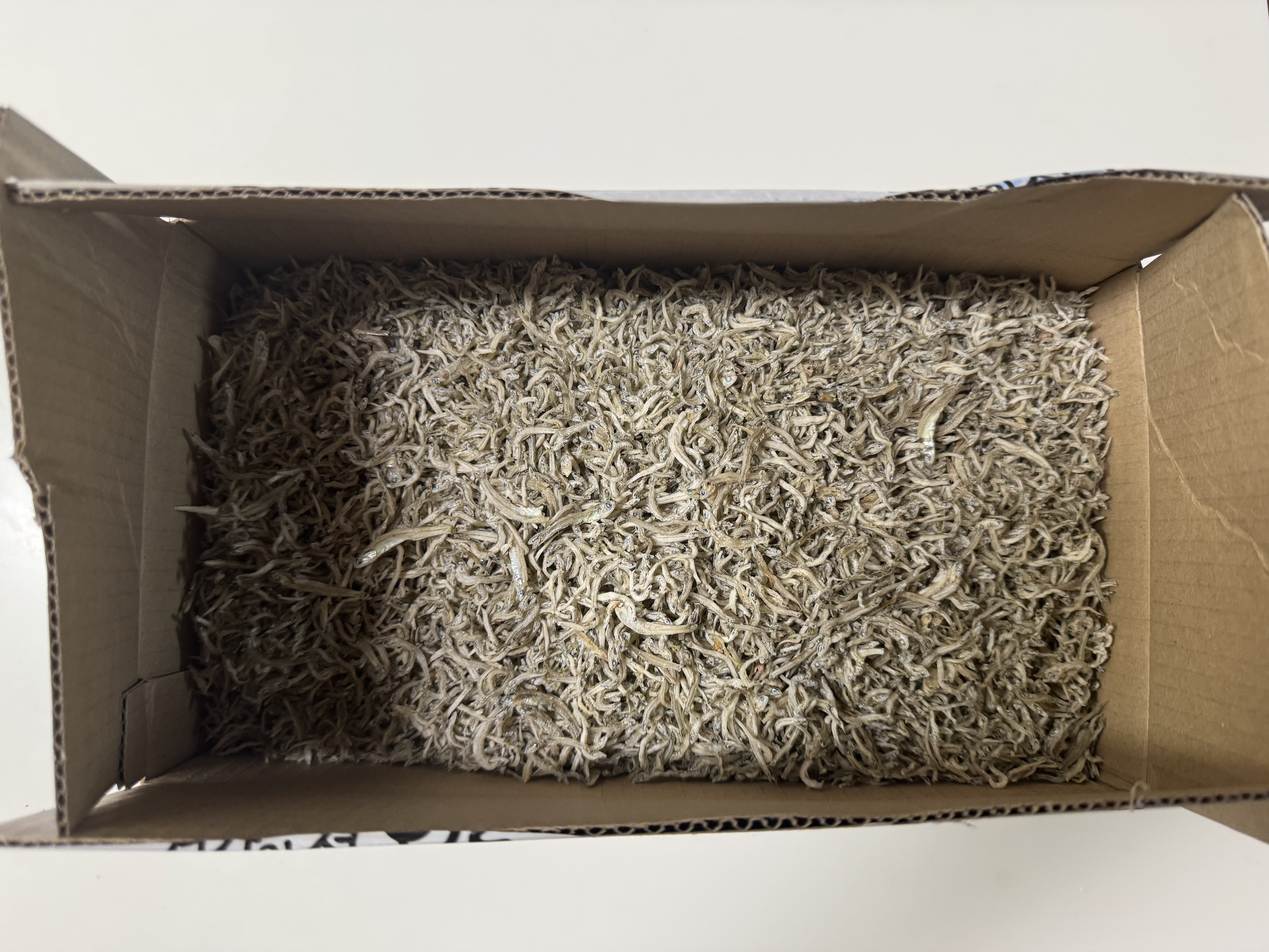 완도 잔멸치 (1kg)-1