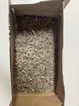 완도 잔멸치 (1kg)-1