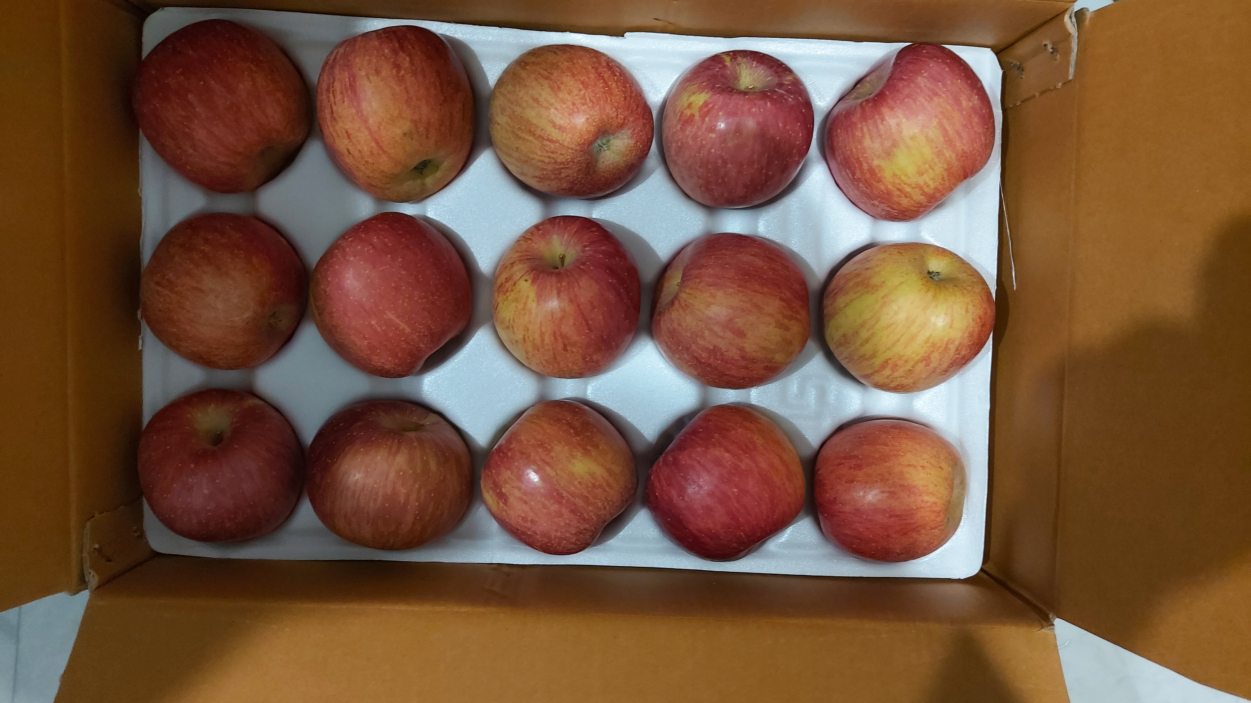 풍기농협 영주사과 3.5kg-1