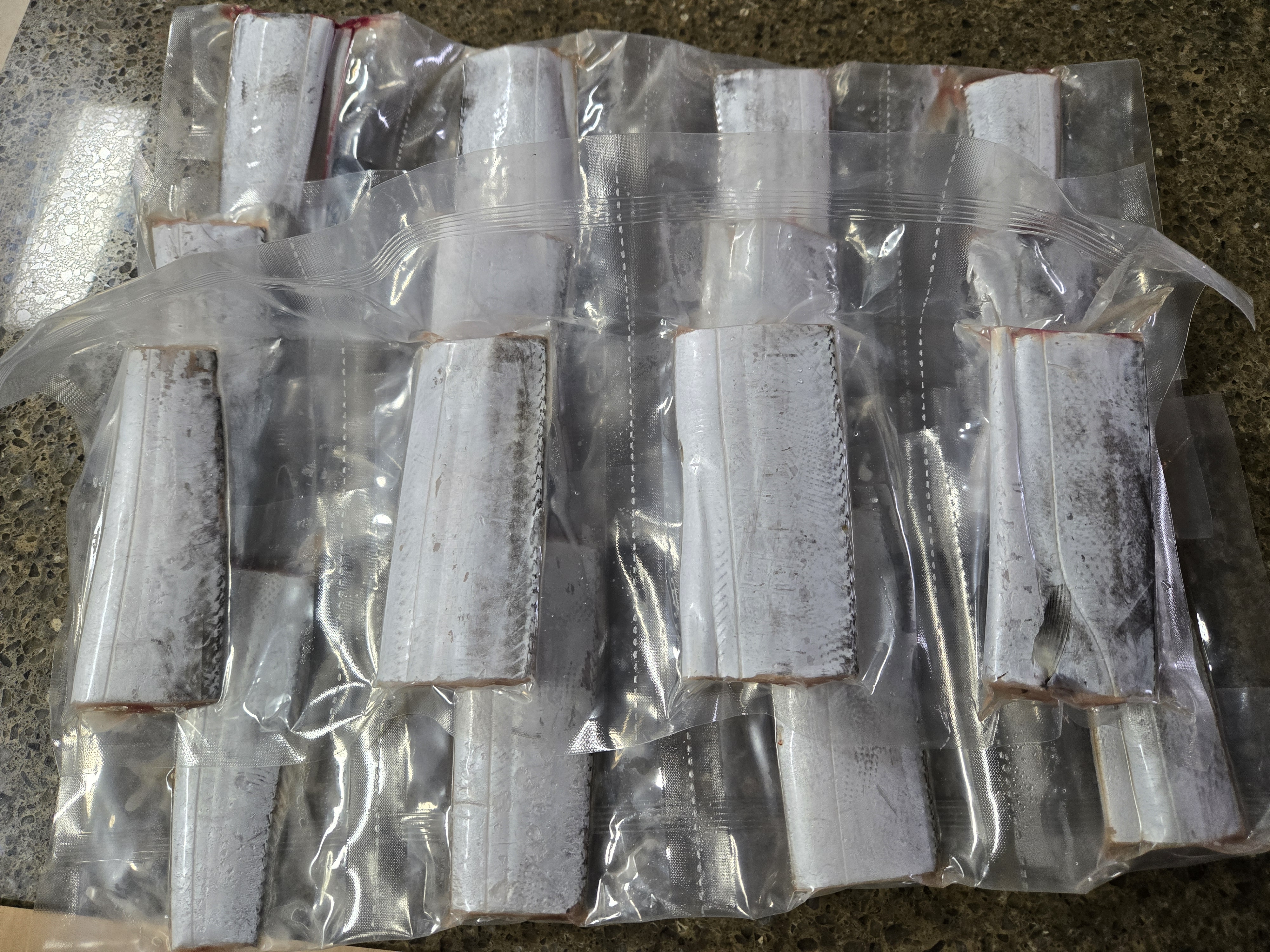 제주 명품 은갈치 선물세트 3~4마리-1