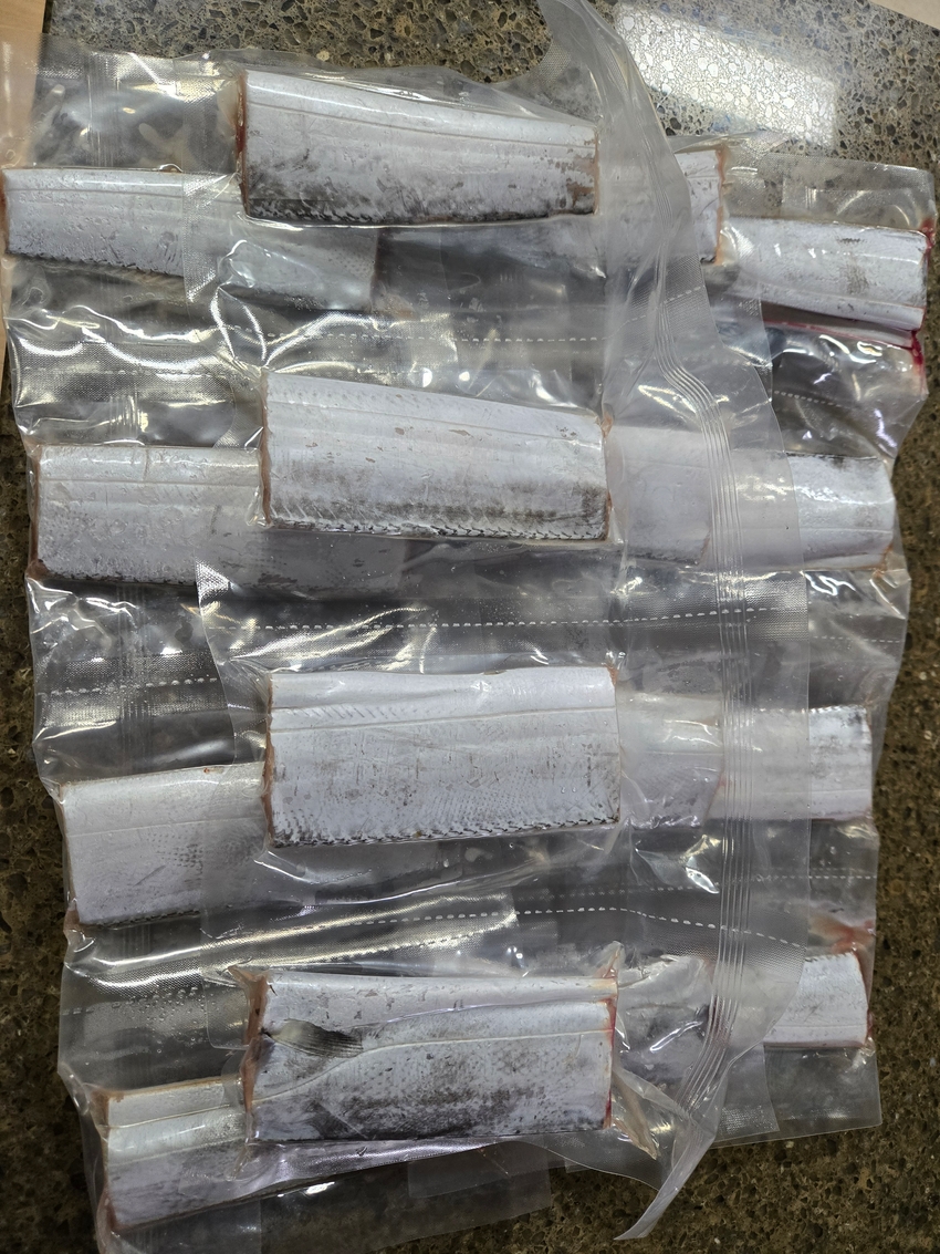 포토후기 이미지