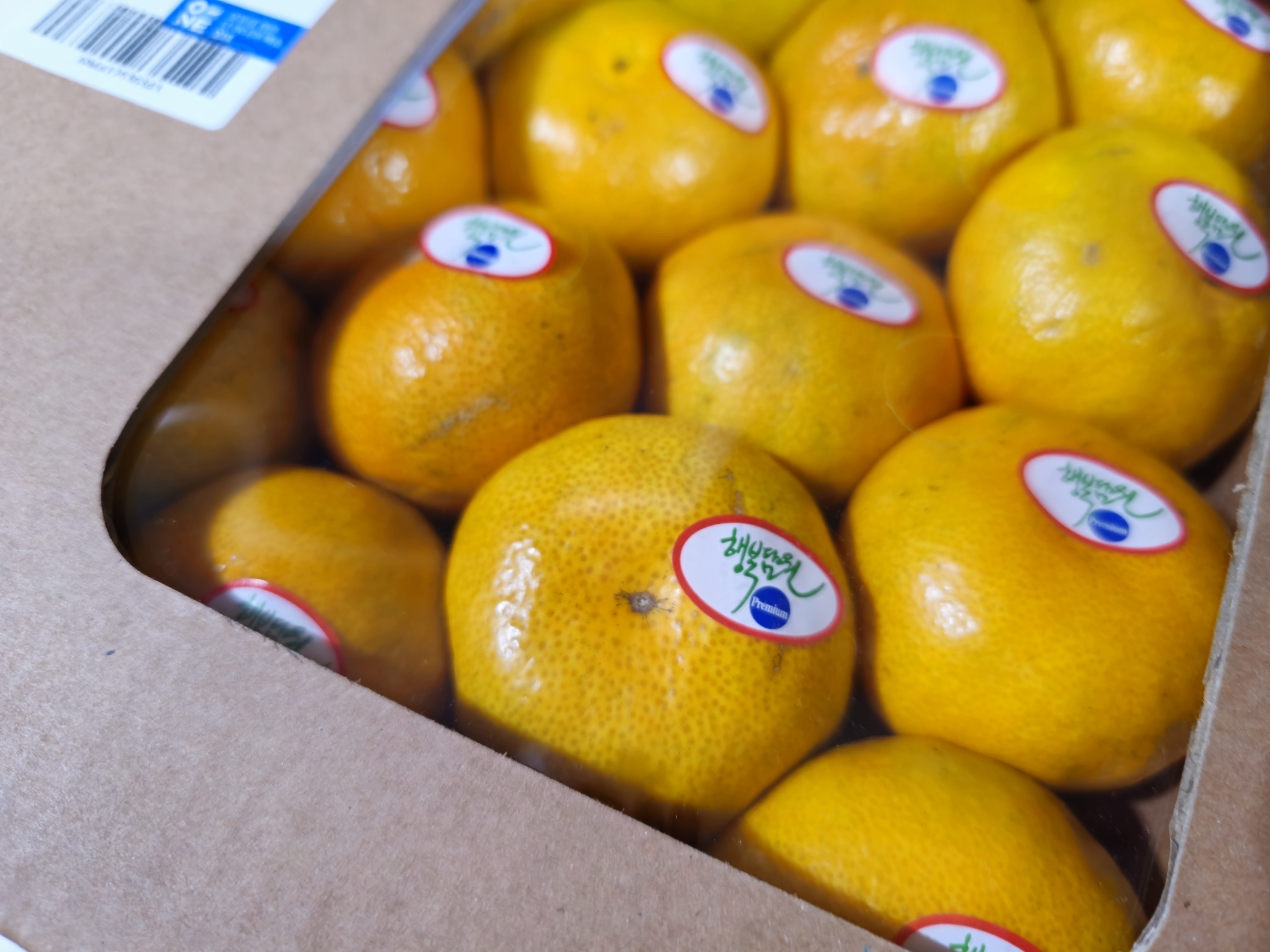 포토후기 이미지