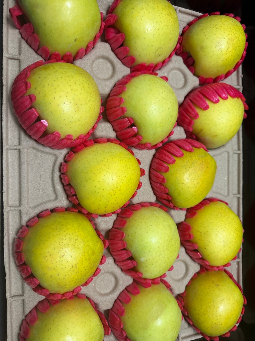 포토후기 이미지