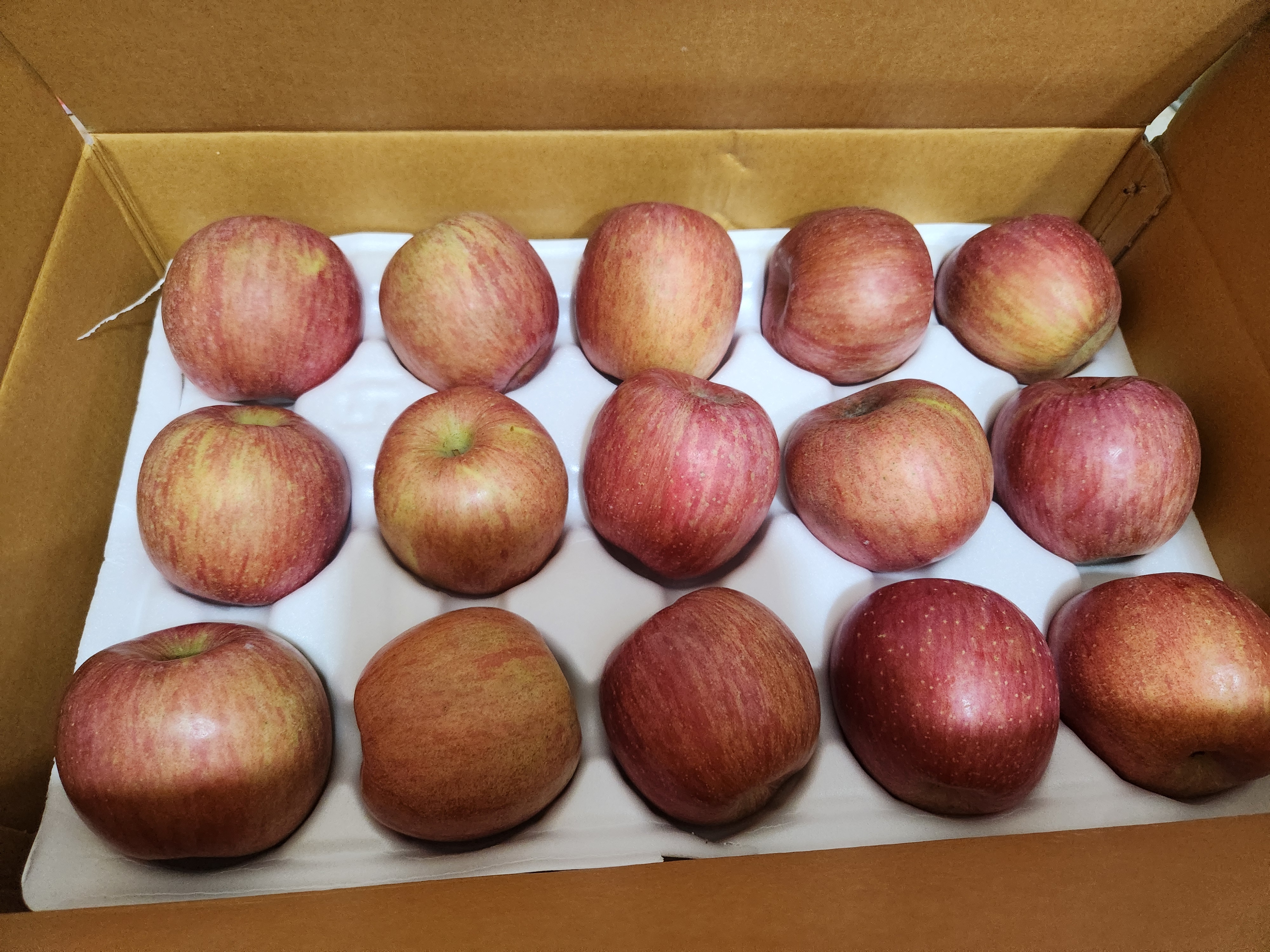 풍기농협 영주사과 3.5kg-2