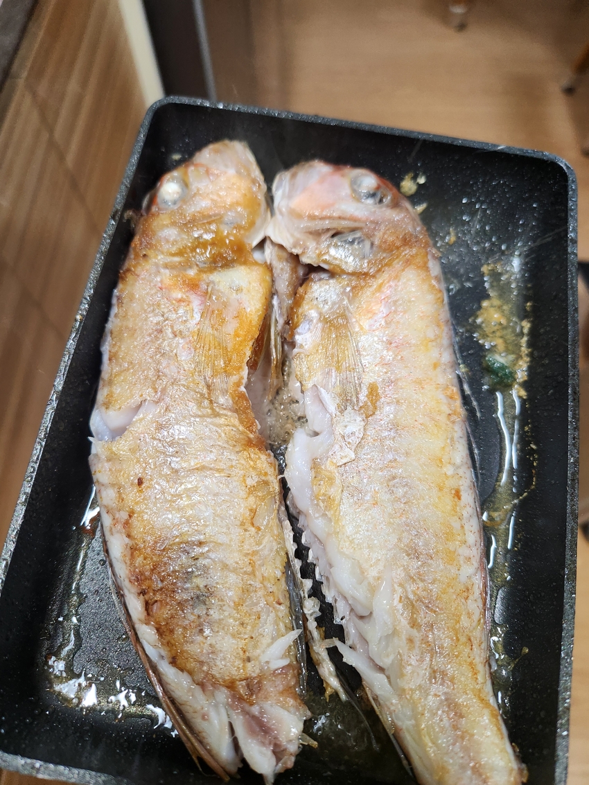 포토후기 이미지