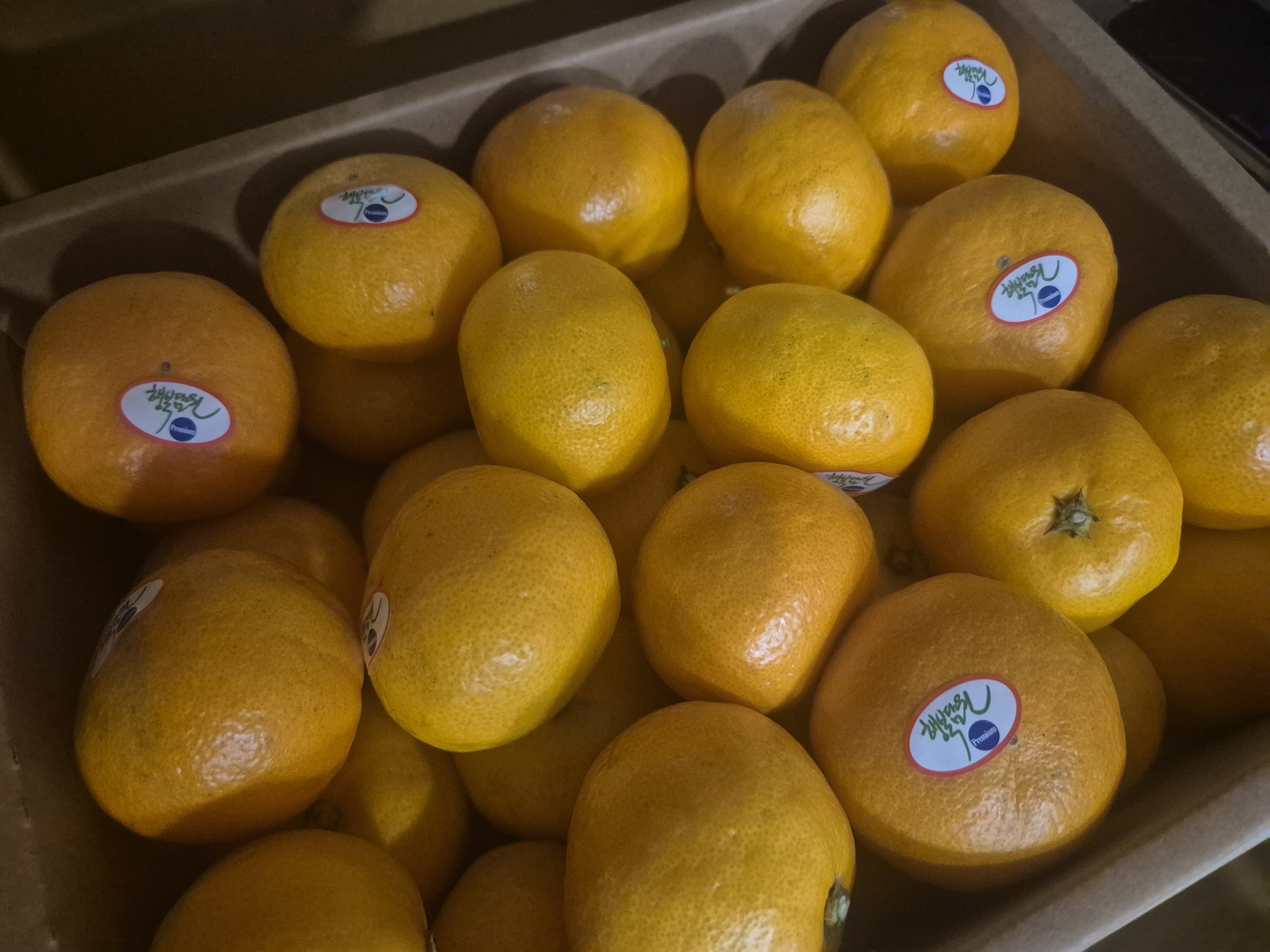 효돈 농협 프리미엄 감귤 (3kg/5kg)-1