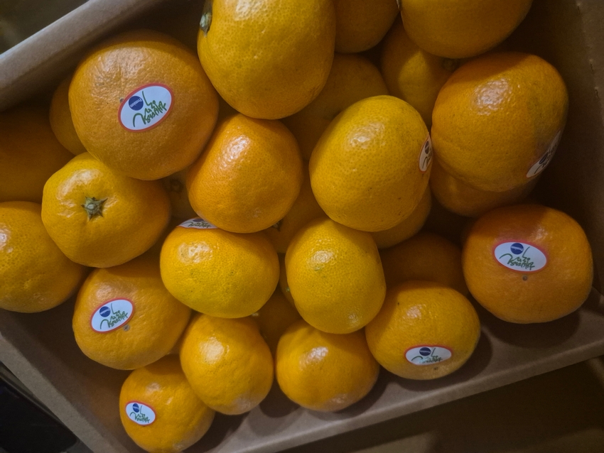 포토후기 이미지