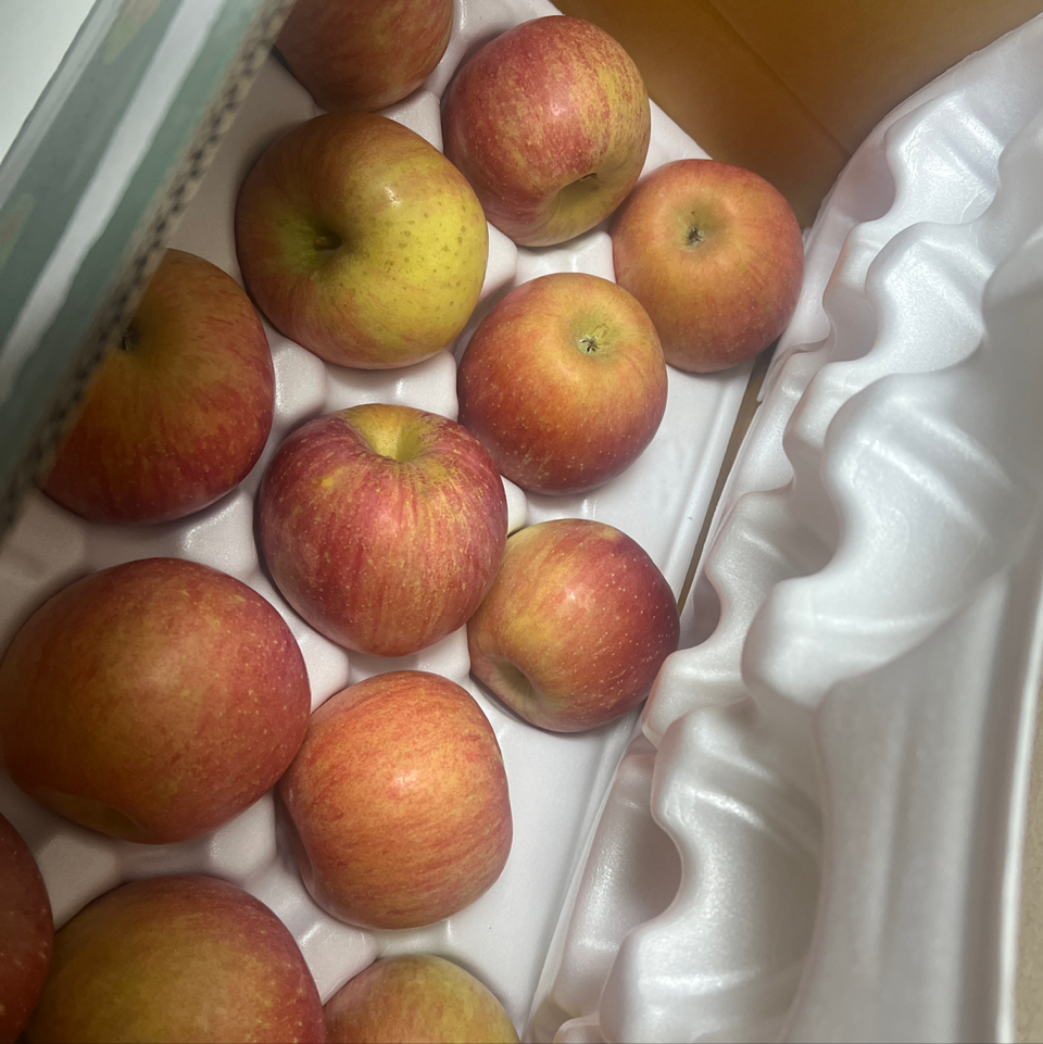 풍기농협 영주사과 3.5kg-1