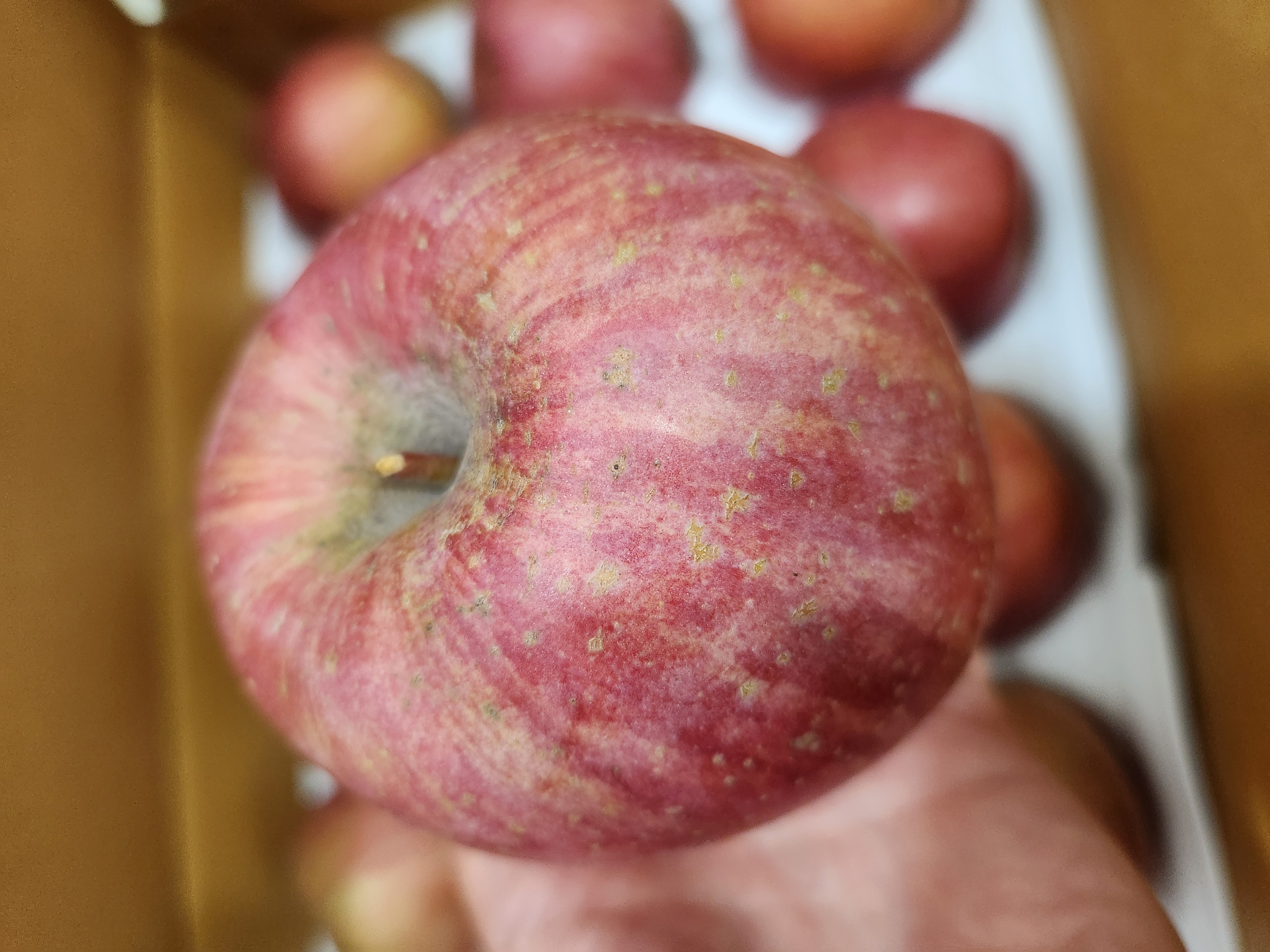 풍기농협 영주사과 3.5kg-1