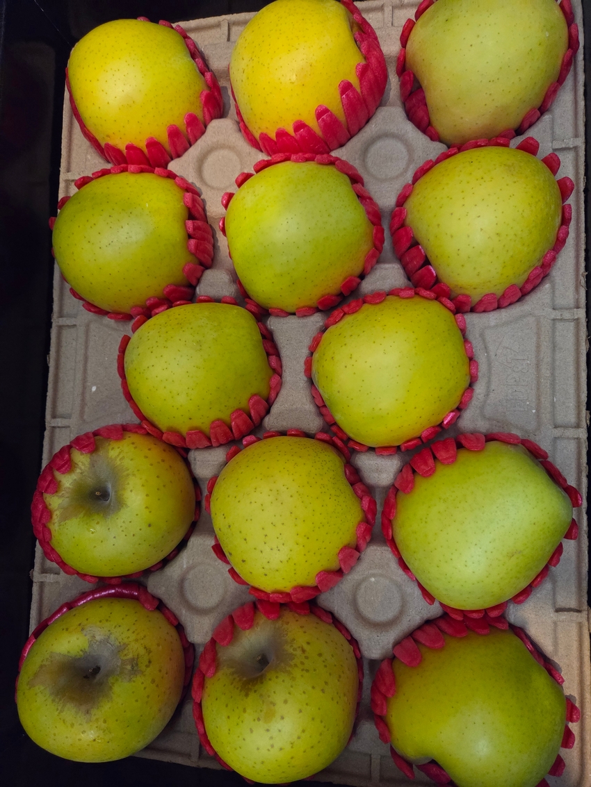 포토후기 이미지