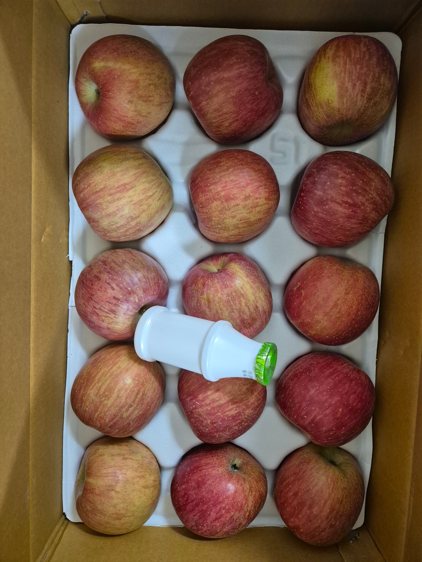 포토후기 이미지