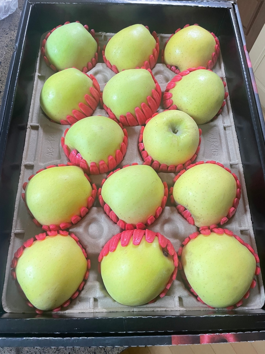 포토후기 이미지