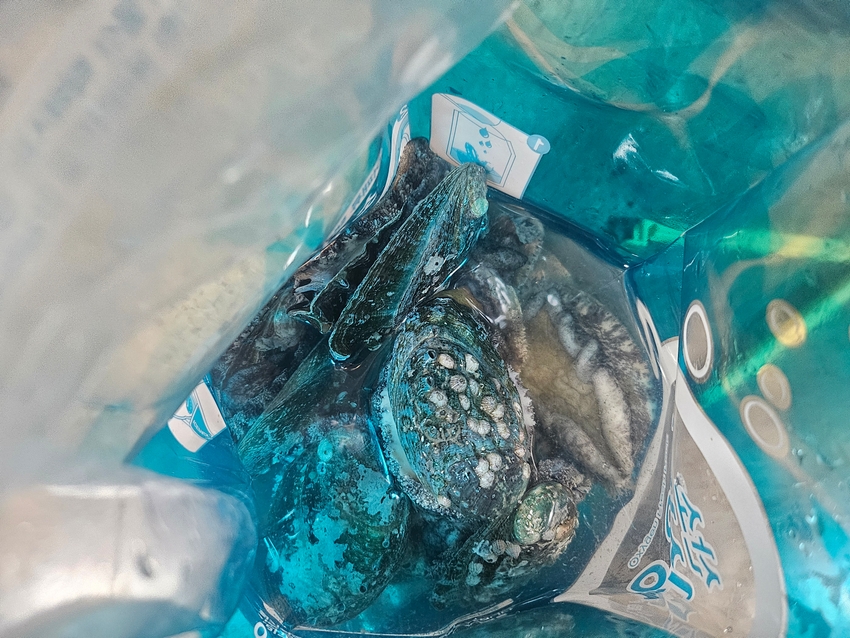 포토후기 이미지