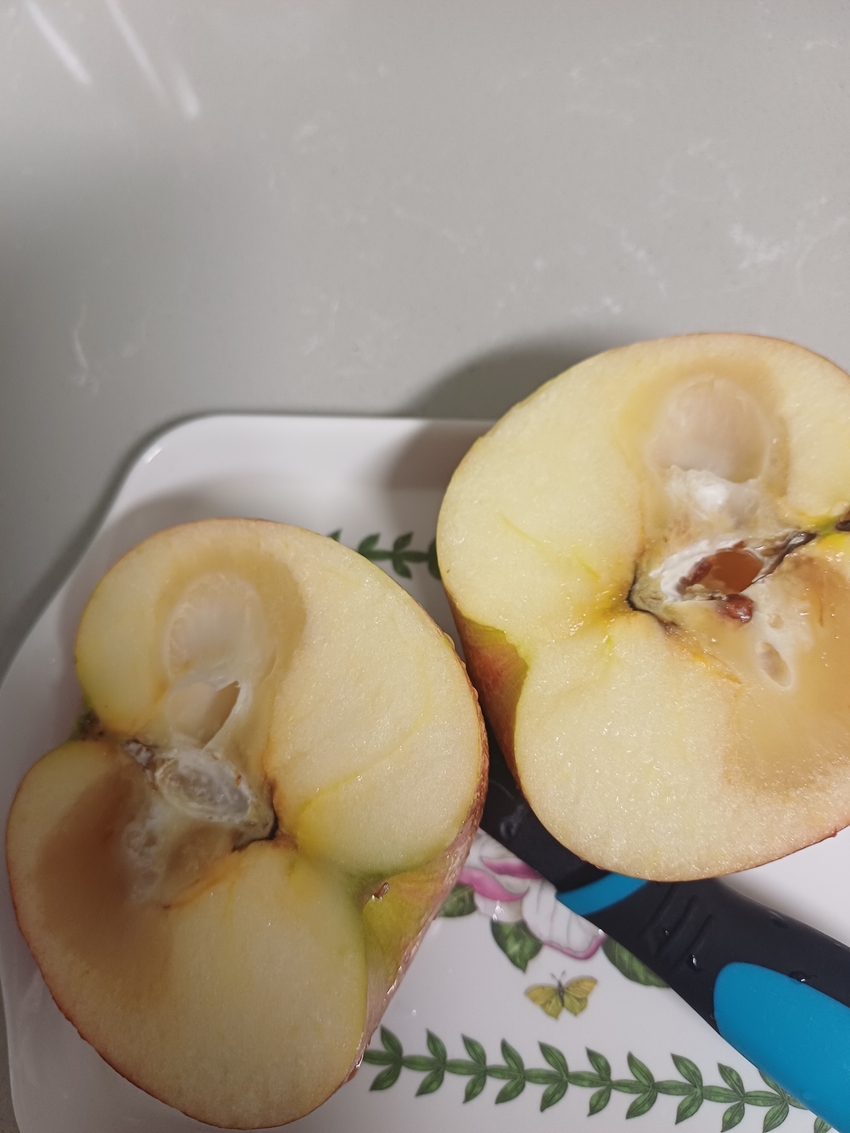 포토후기 이미지