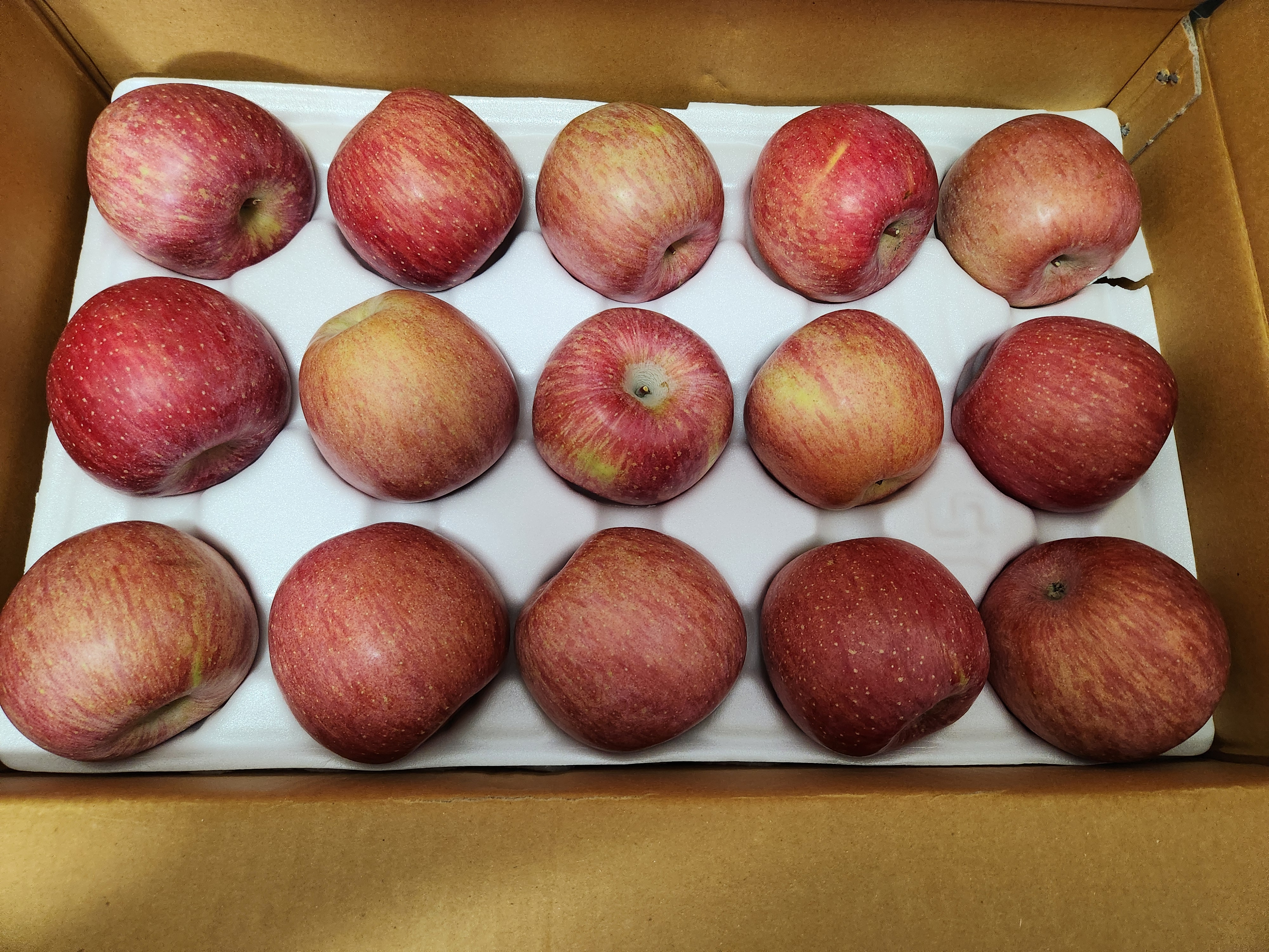 풍기농협 영주사과 3.5kg + 1kg 추가증정-1