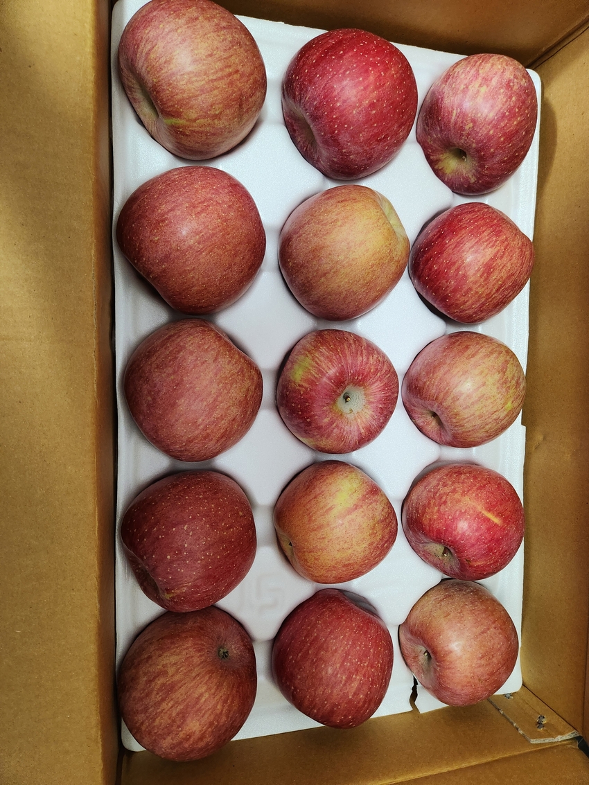 포토후기 이미지