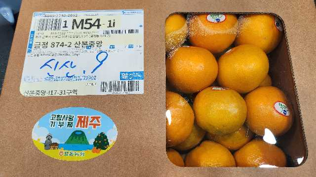 포토후기 이미지