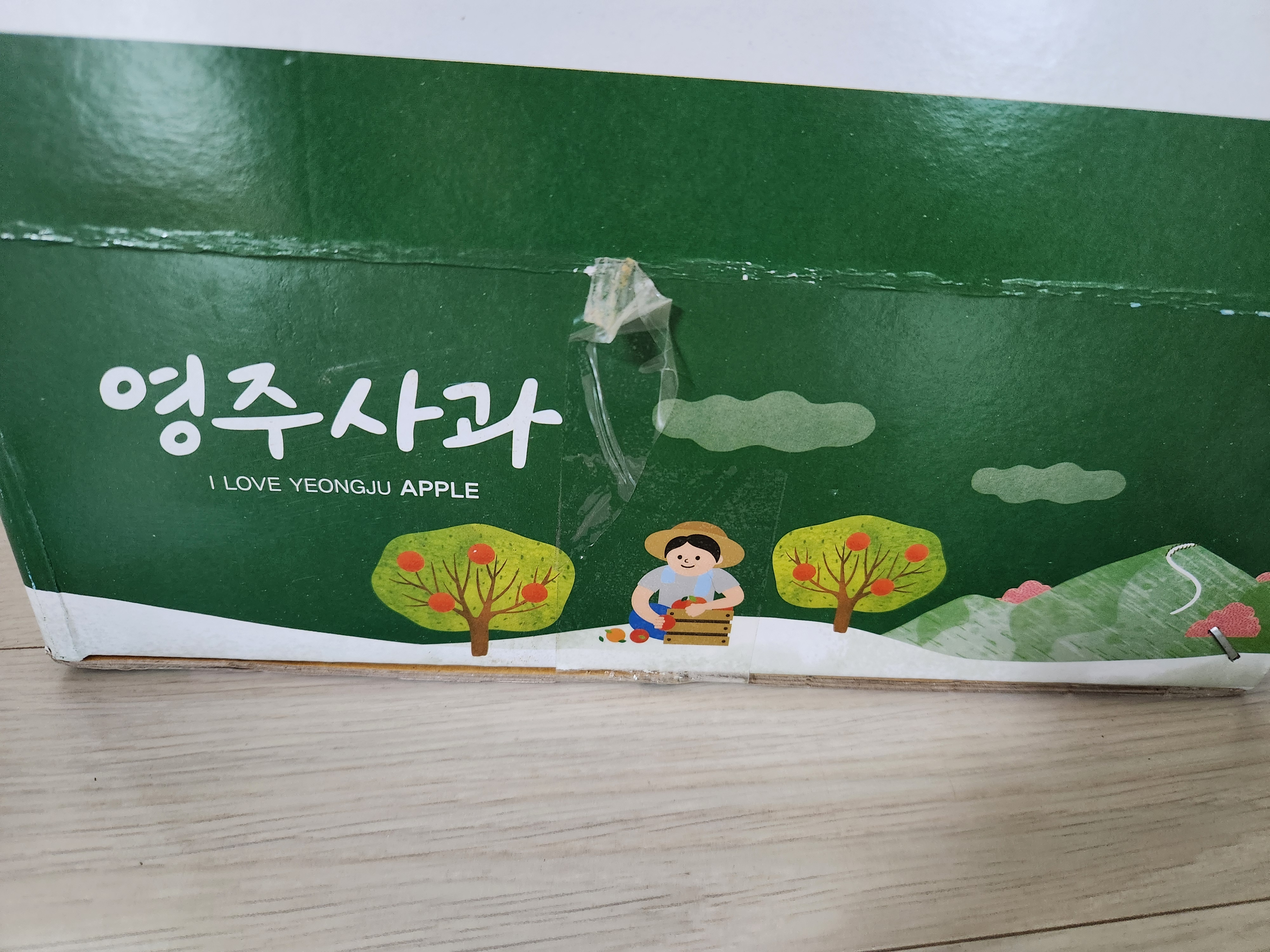 풍기농협 영주사과 3.5kg + 1kg 추가증정-2