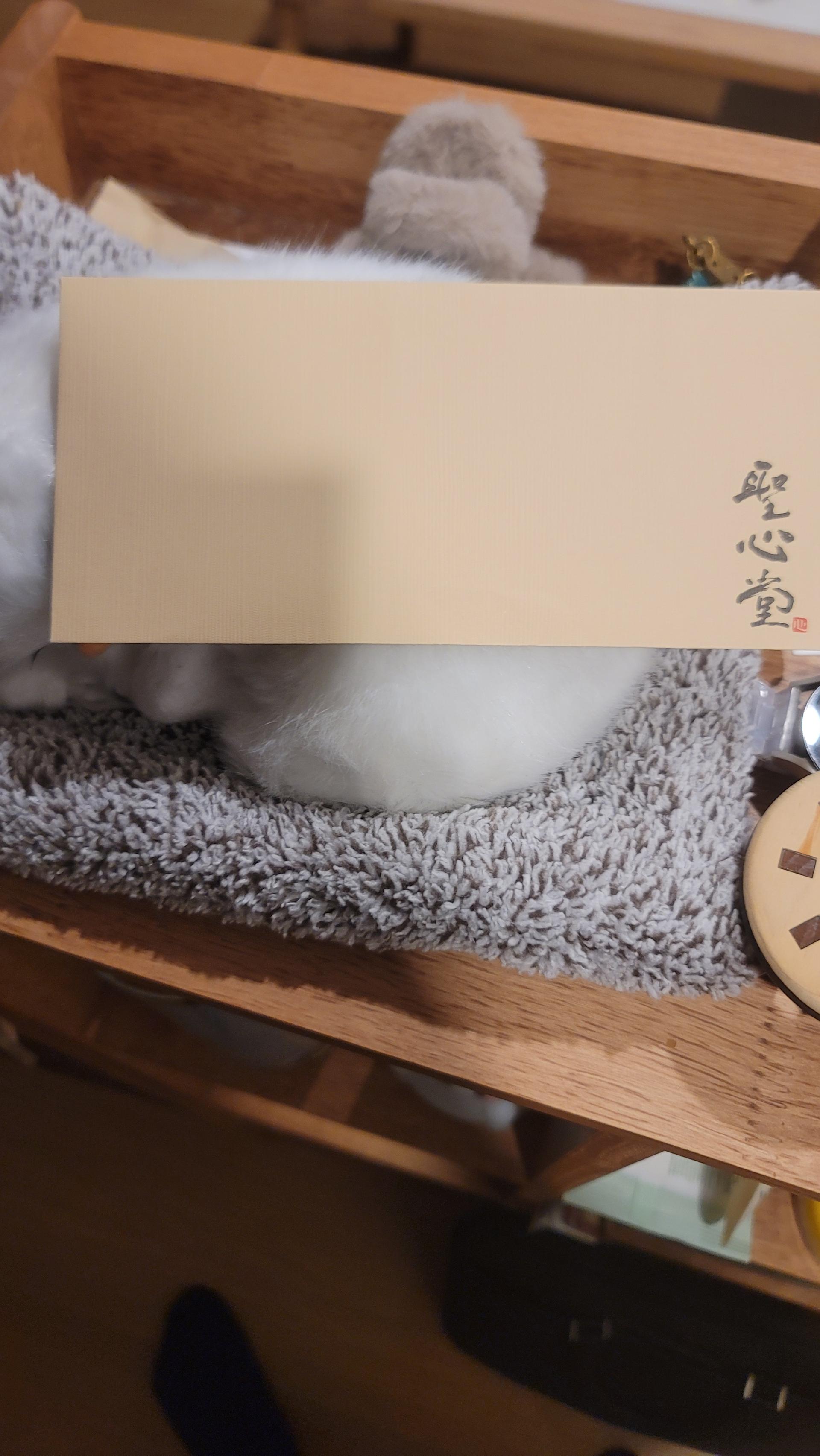 포토후기 이미지