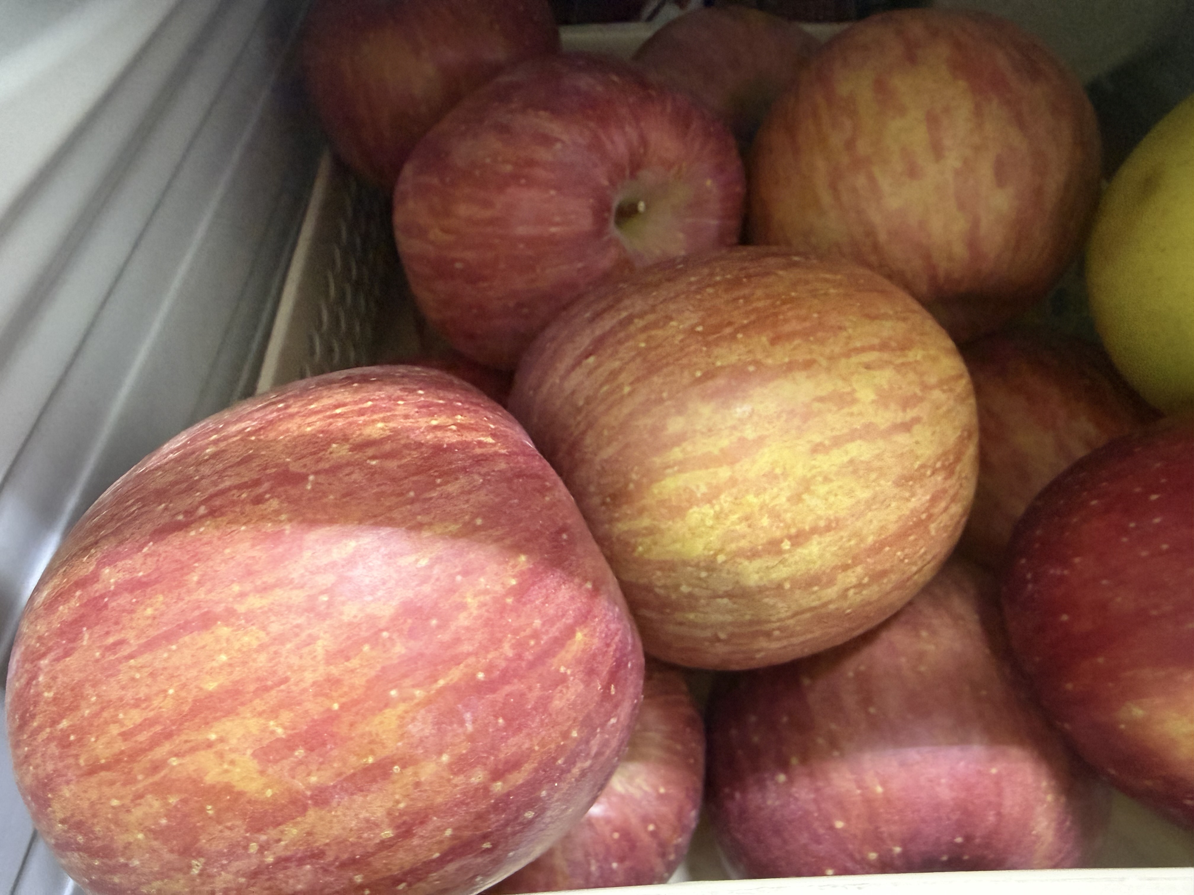 풍기농협 영주사과 3.5kg + 1kg 추가증정-2