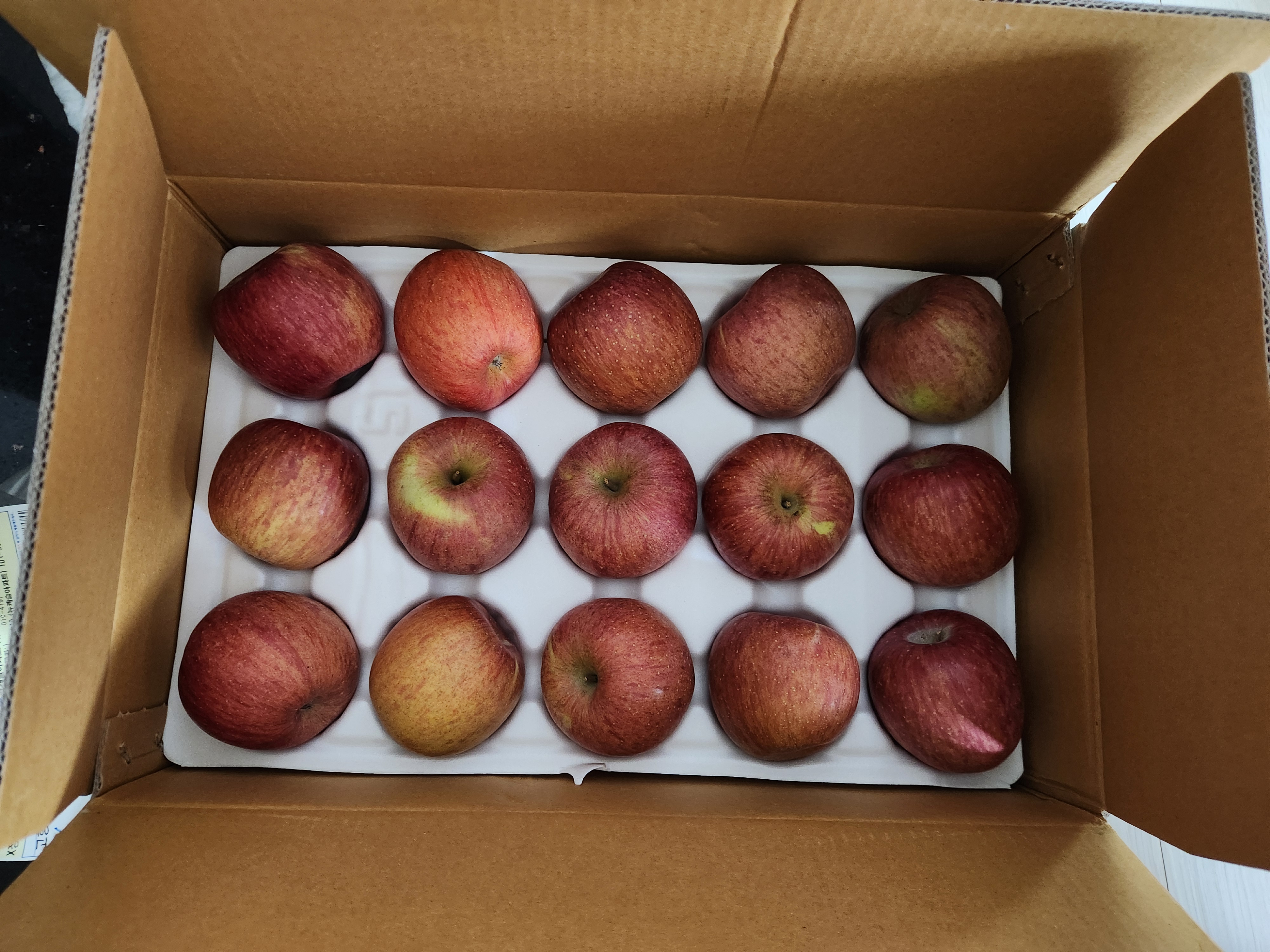 풍기농협 영주사과 3.5kg + 1kg 추가증정-1