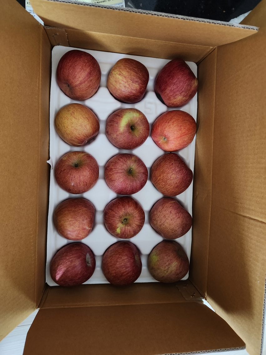 포토후기 이미지