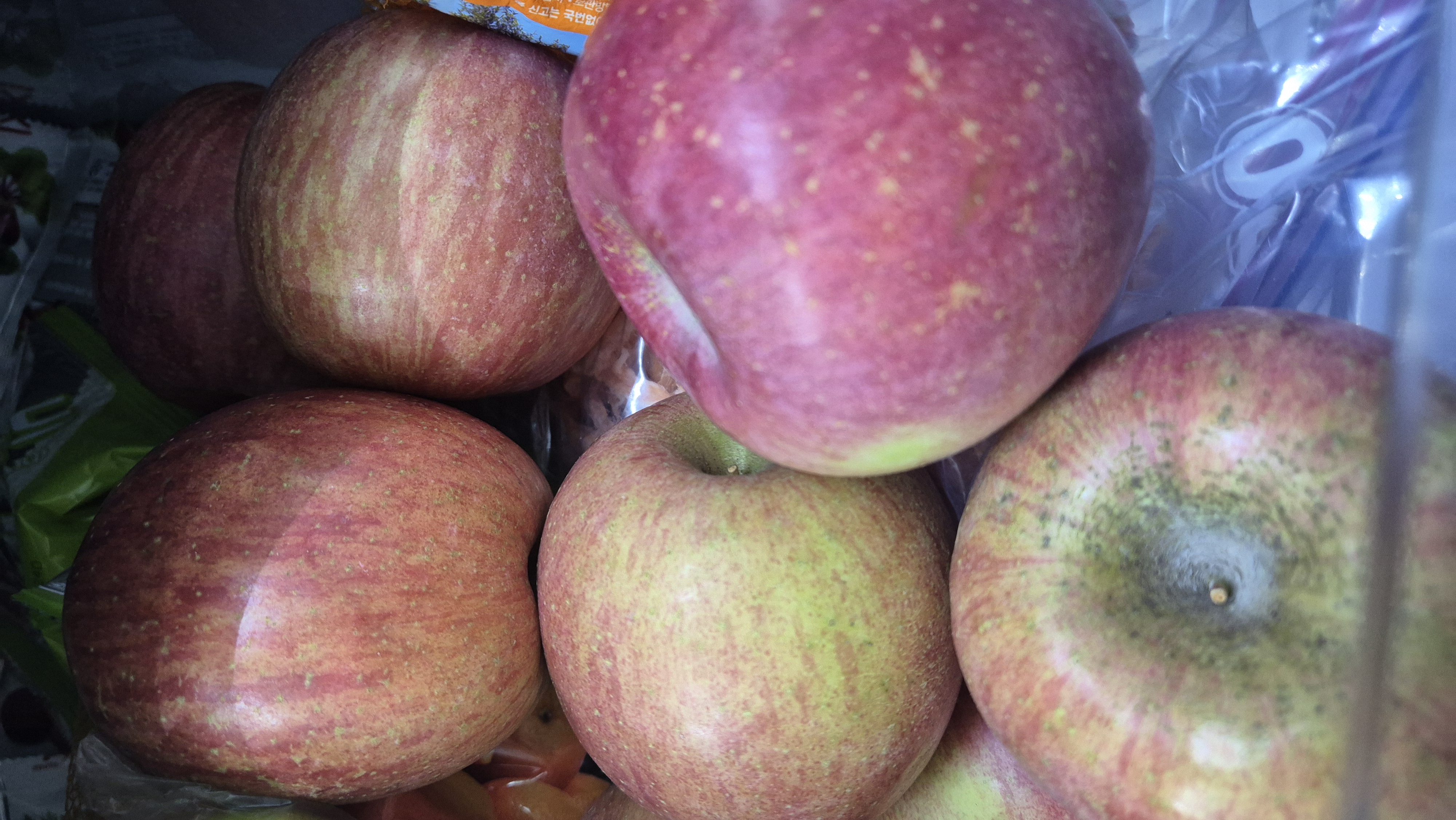 풍기농협 영주사과 3.5kg + 1kg 추가증정-1