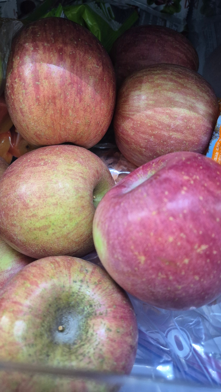 포토후기 이미지