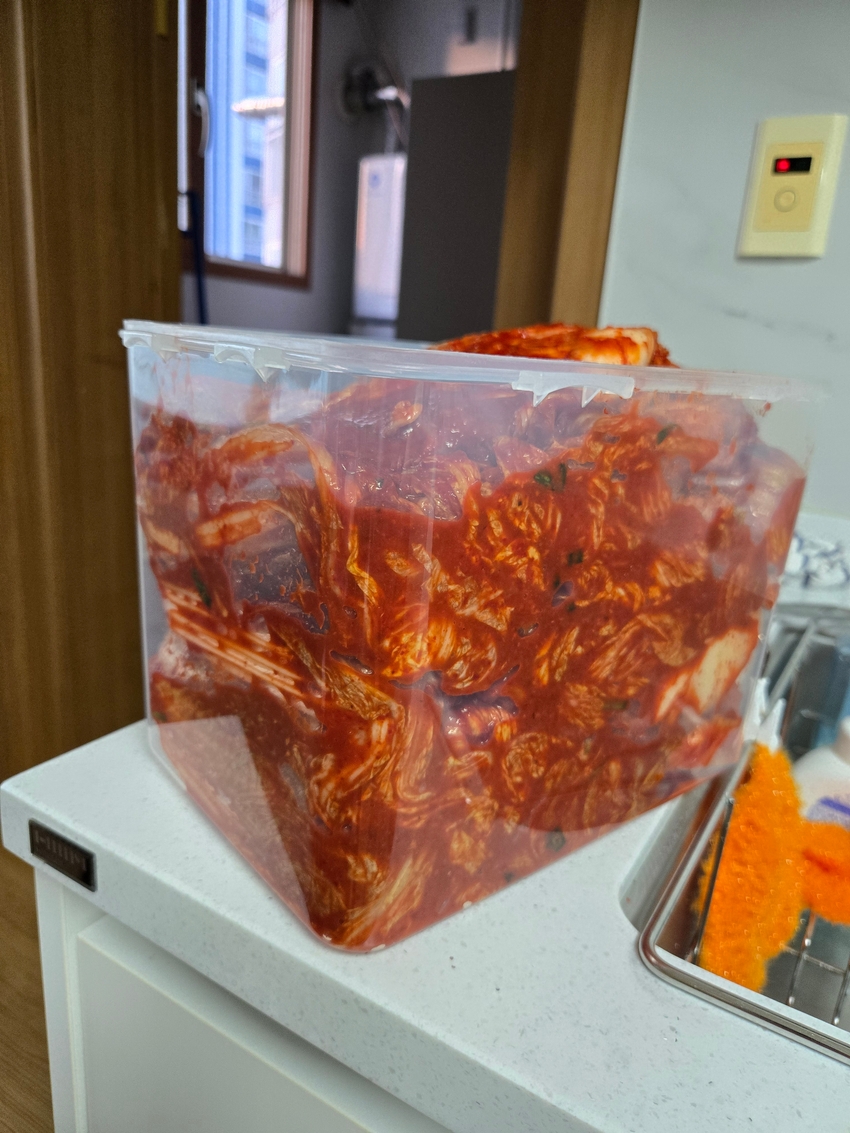 포토후기 이미지