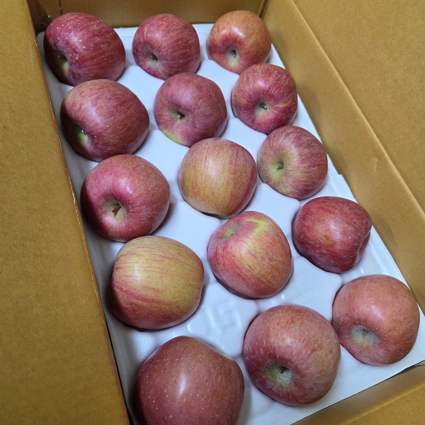 포토후기 이미지