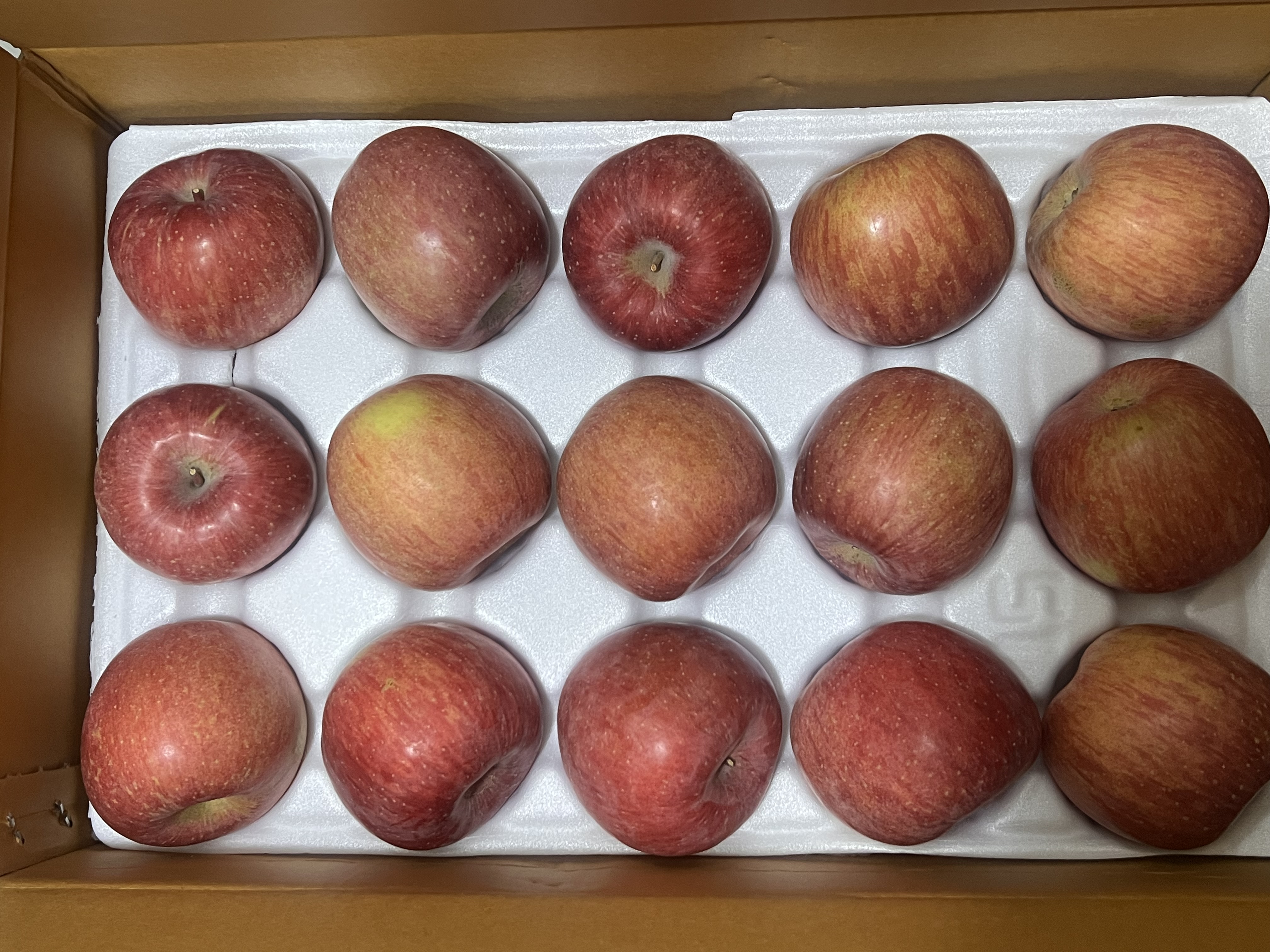 풍기농협 영주사과 3.5kg + 1kg 추가증정-1