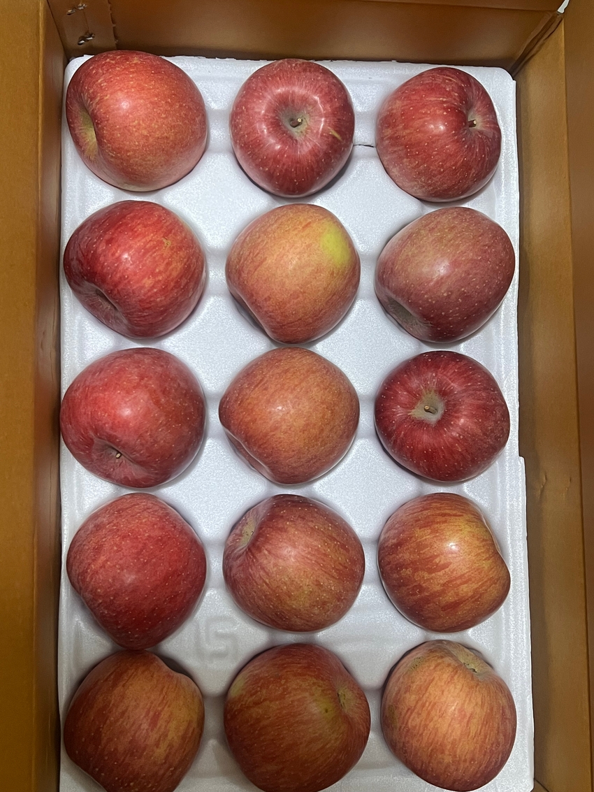 포토후기 이미지