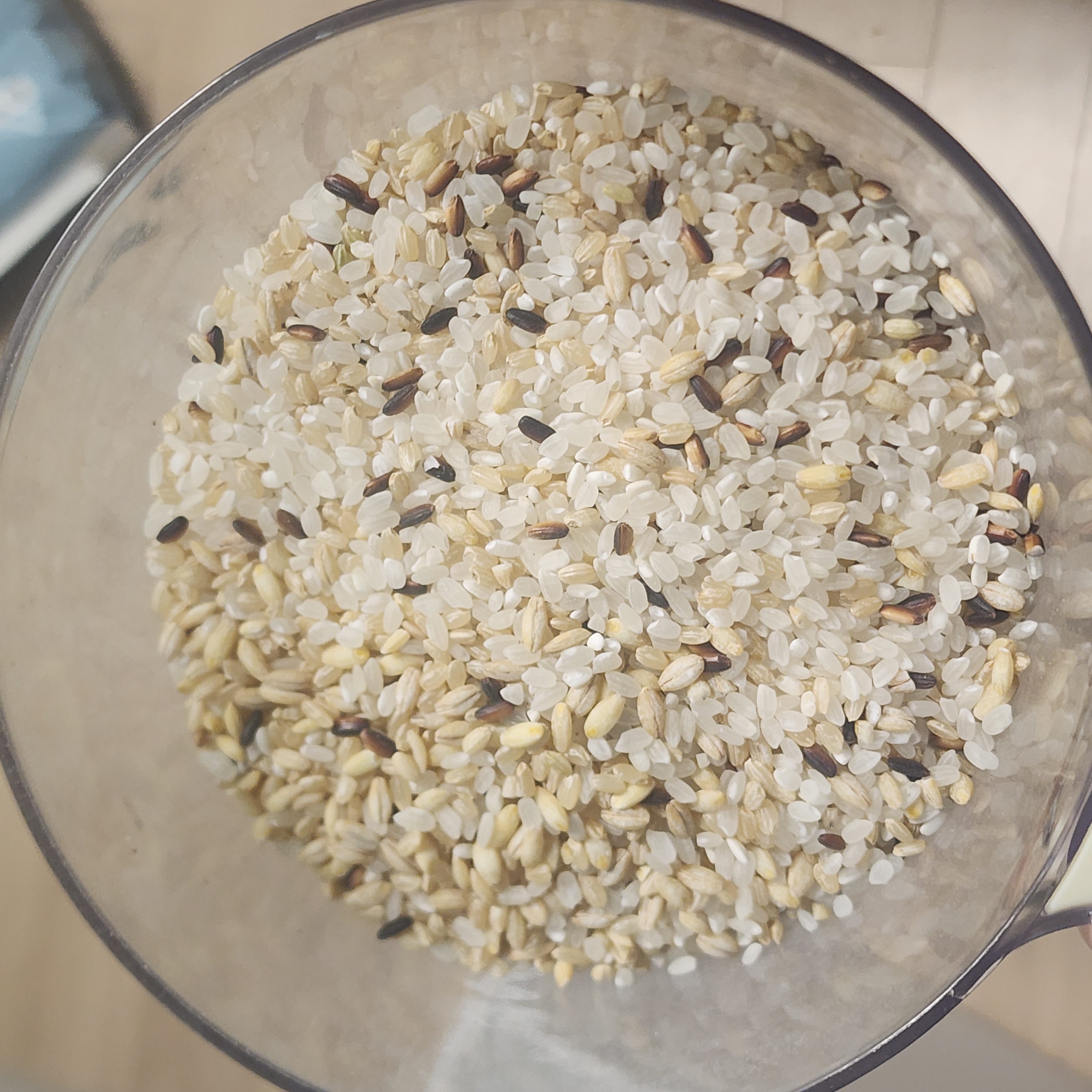 삼대 새청무쌀 10kg (2025년 햅쌀-상등급)-2