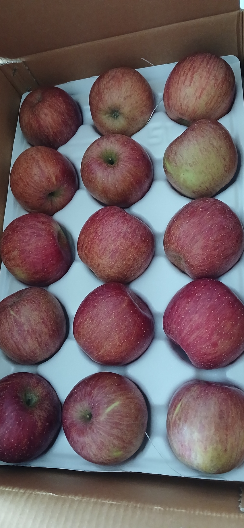 포토후기 이미지