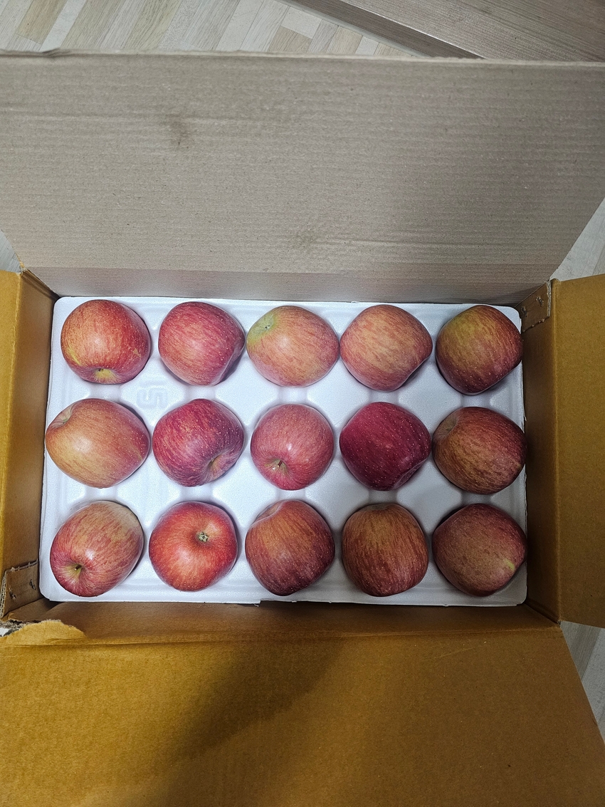 포토후기 이미지