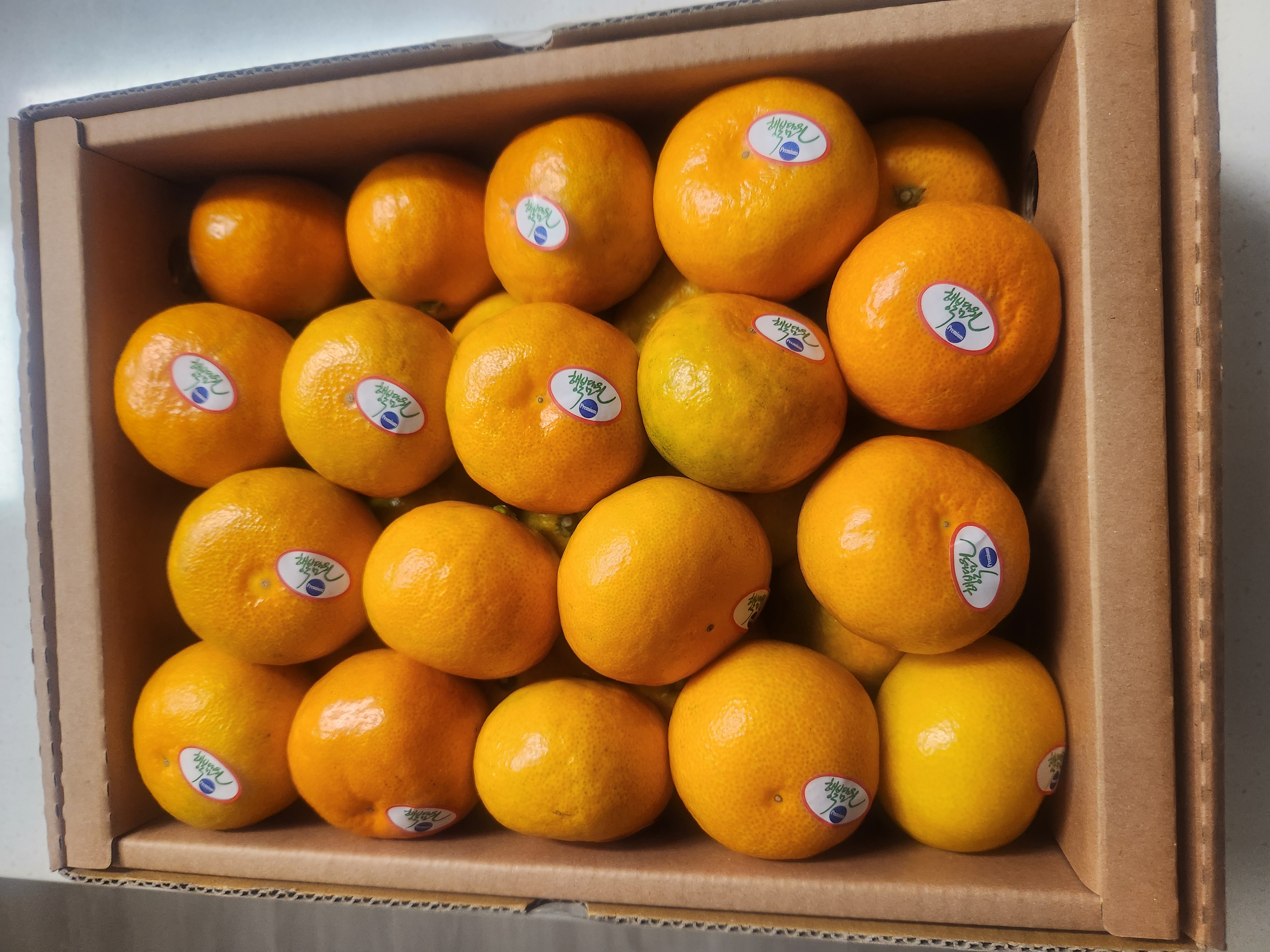 효돈 농협 프리미엄 감귤 (3kg/5kg)-1