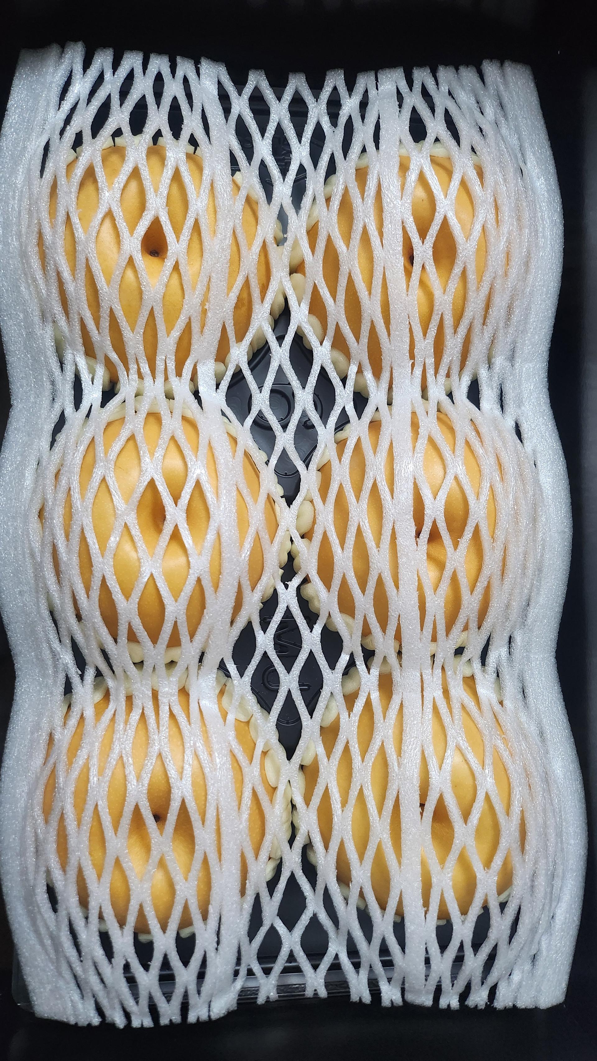 포토후기 이미지