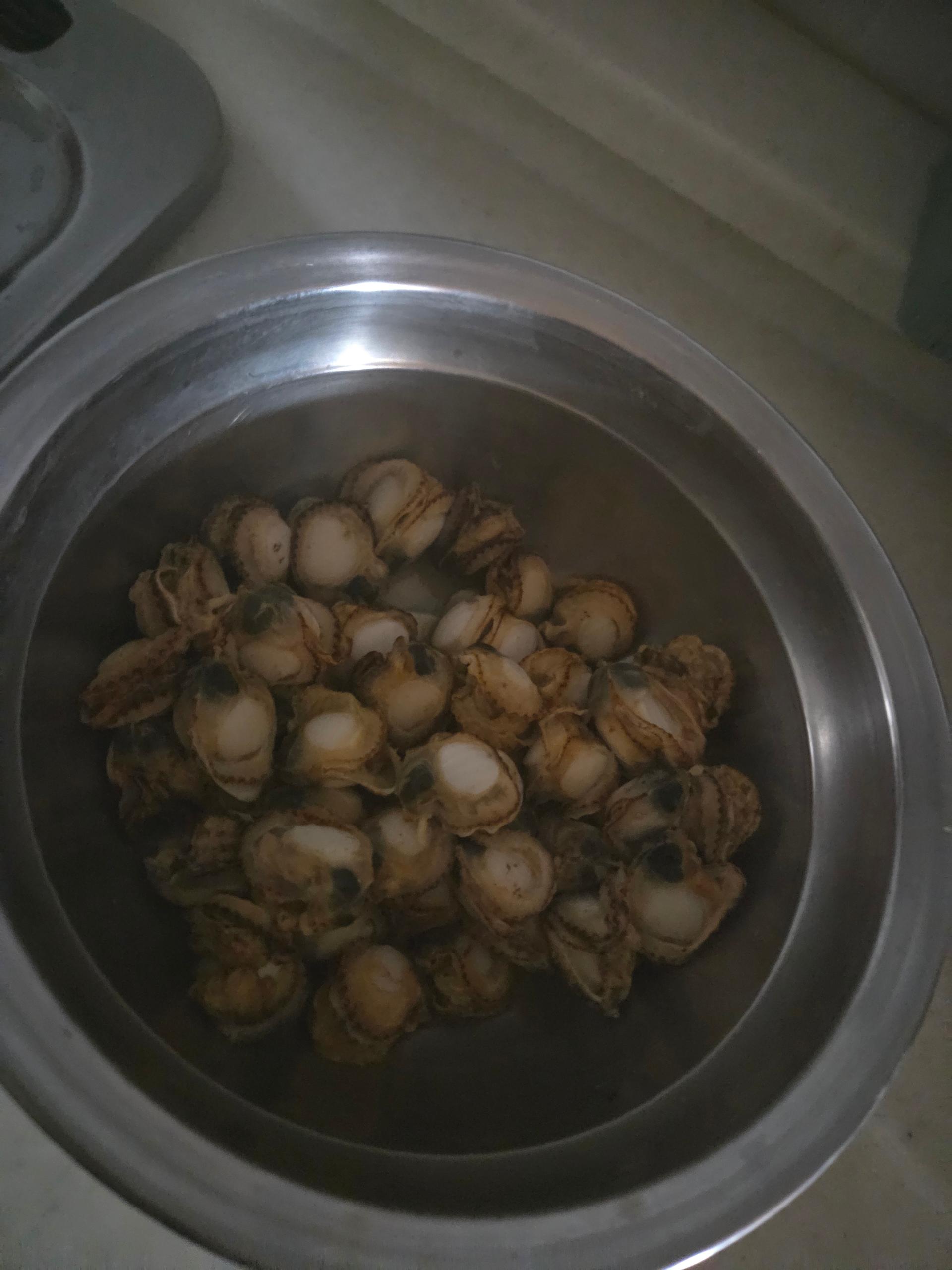 통영 홍가리비(6kg/12kg)